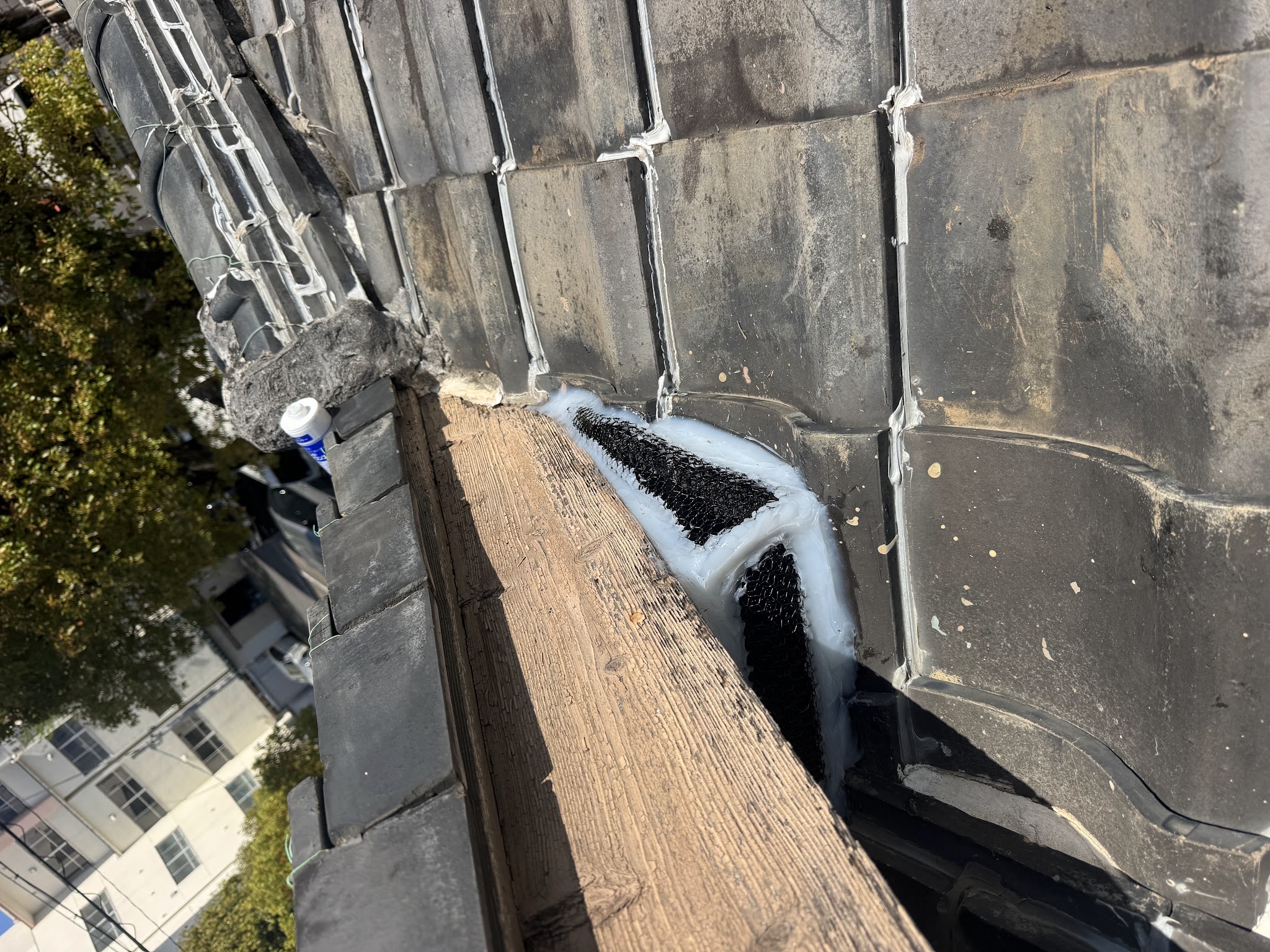 愛知県刈谷市ハクビシン駆除現場の写真2
