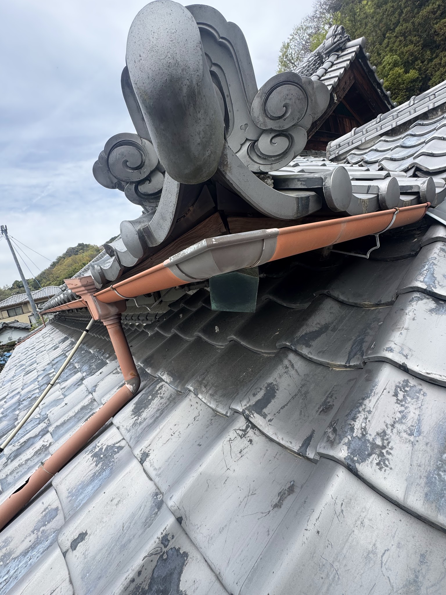 静岡県焼津市ハクビシン駆除現場の写真38