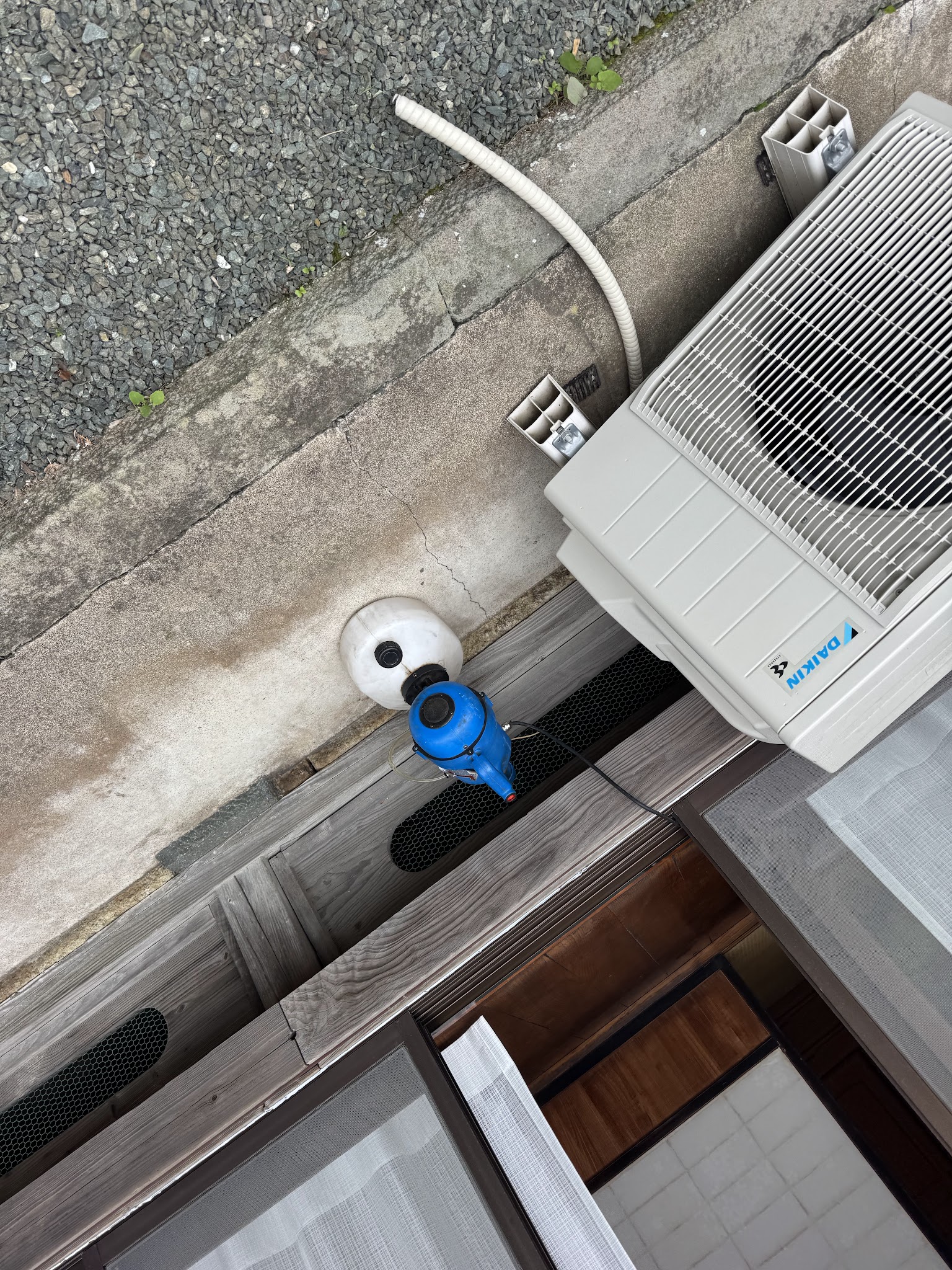 静岡県焼津市ハクビシン駆除現場の写真1