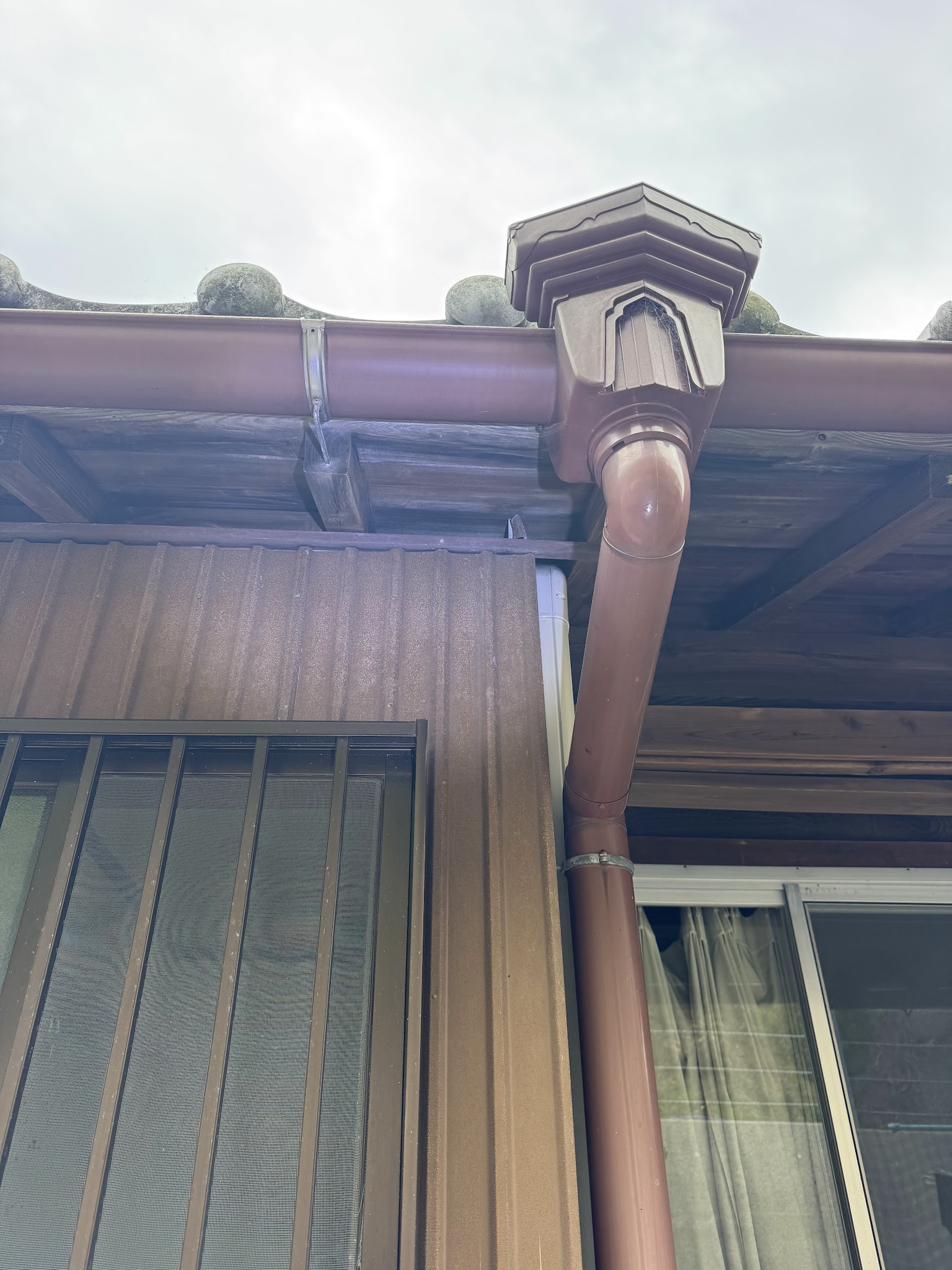 静岡県焼津市ハクビシン駆除現場の写真13