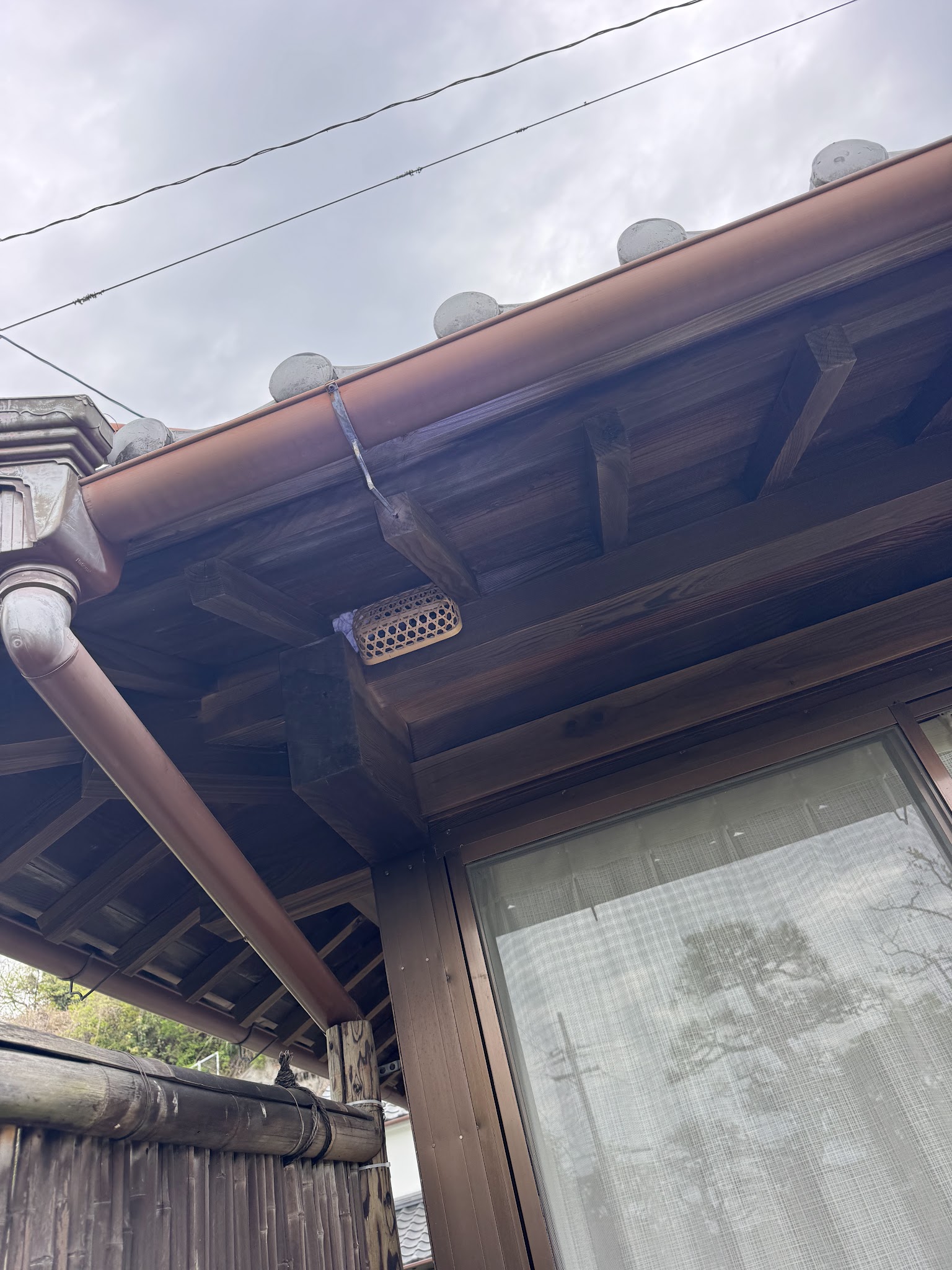 静岡県焼津市ハクビシン駆除現場の写真20