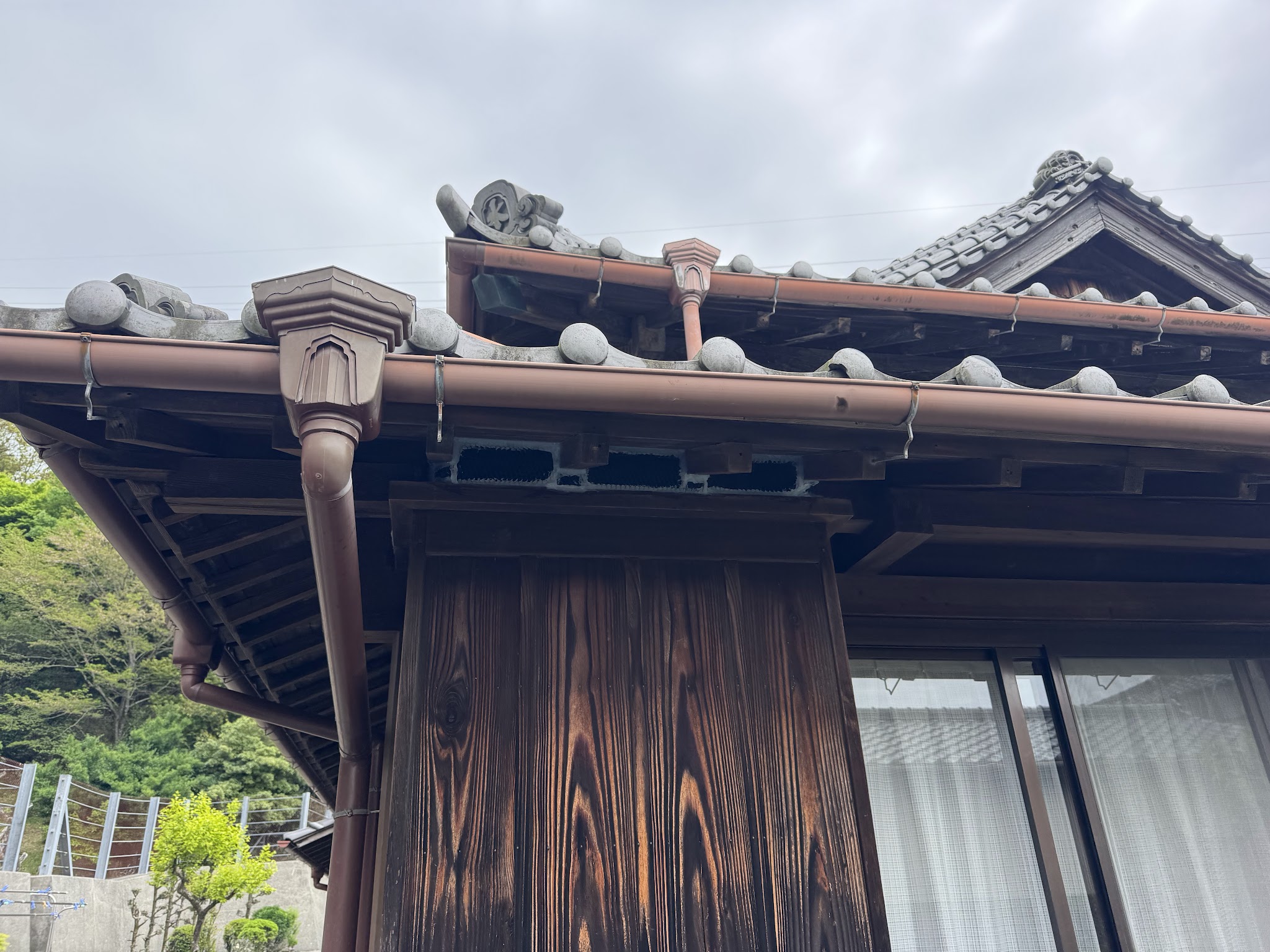 静岡県焼津市ハクビシン駆除現場の写真22