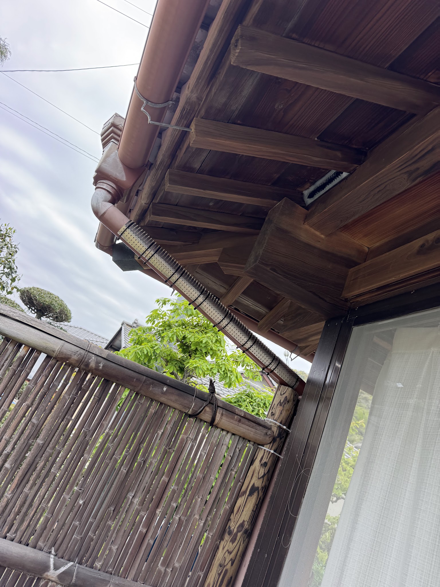 静岡県焼津市ハクビシン駆除現場の写真12