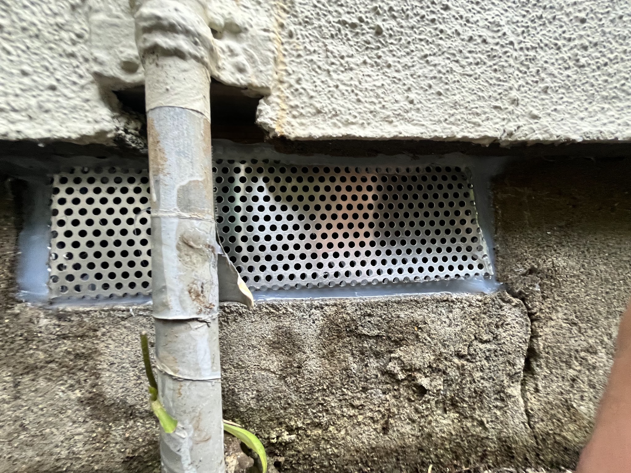 神奈川県横浜市ネズミ駆除現場の写真24