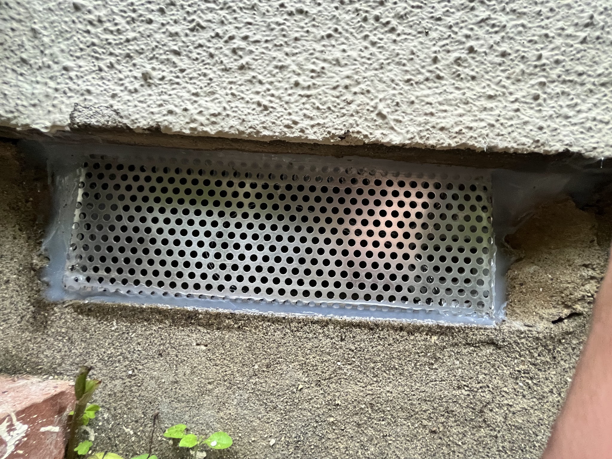 神奈川県横浜市ネズミ駆除現場の写真22