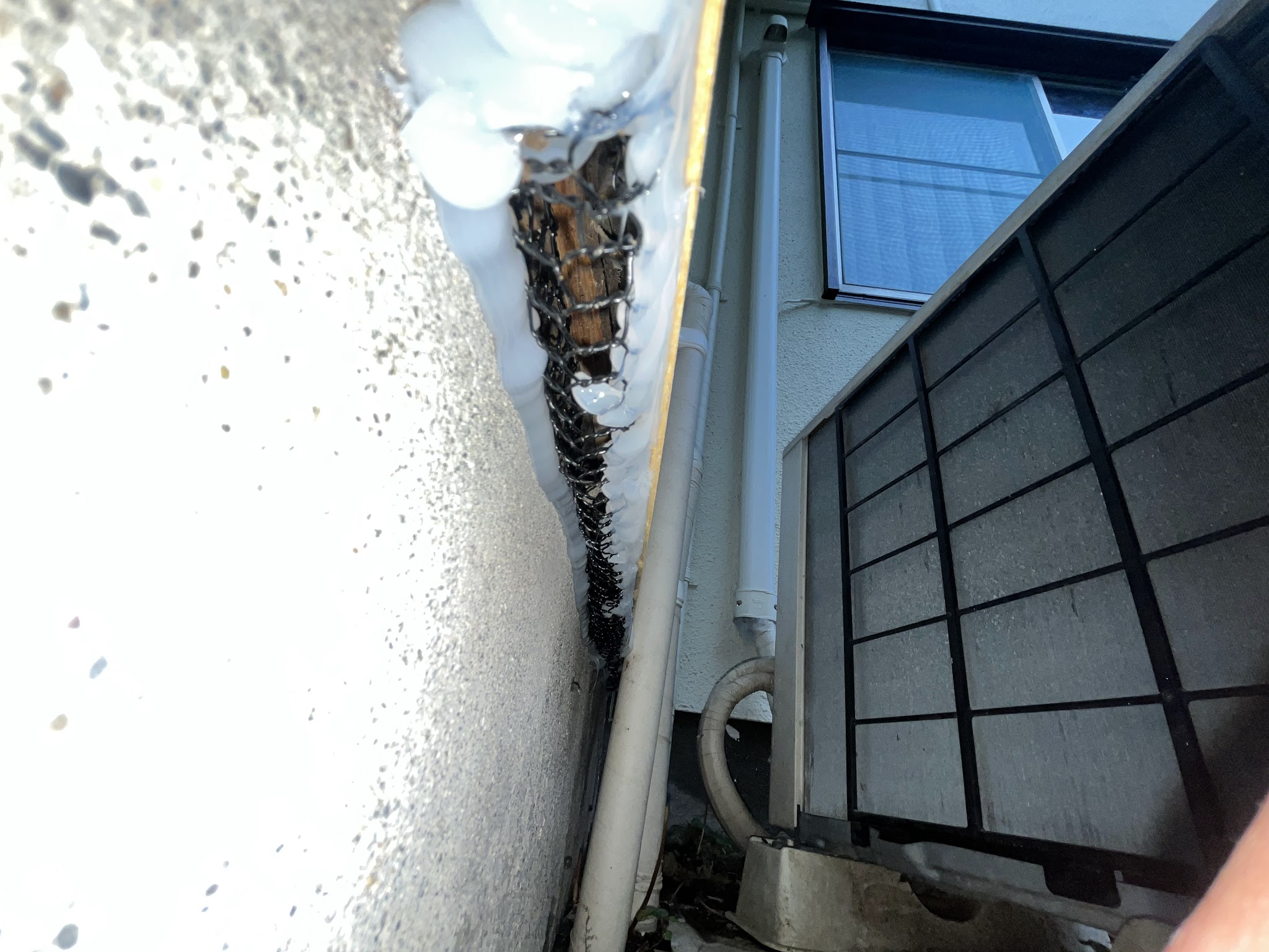 神奈川県横浜市ネズミ駆除現場の写真47