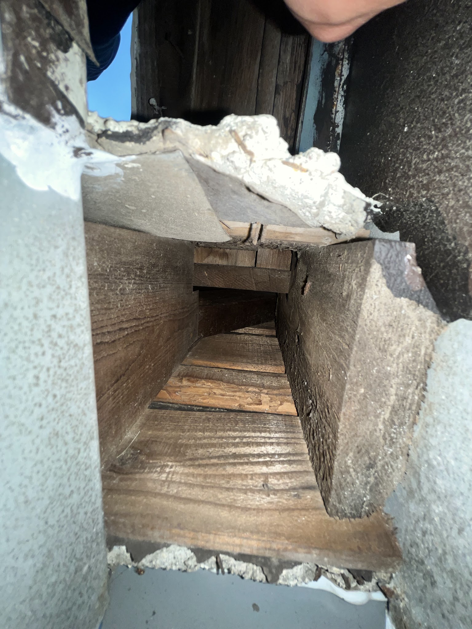 神奈川県横浜市ネズミ駆除現場の写真27