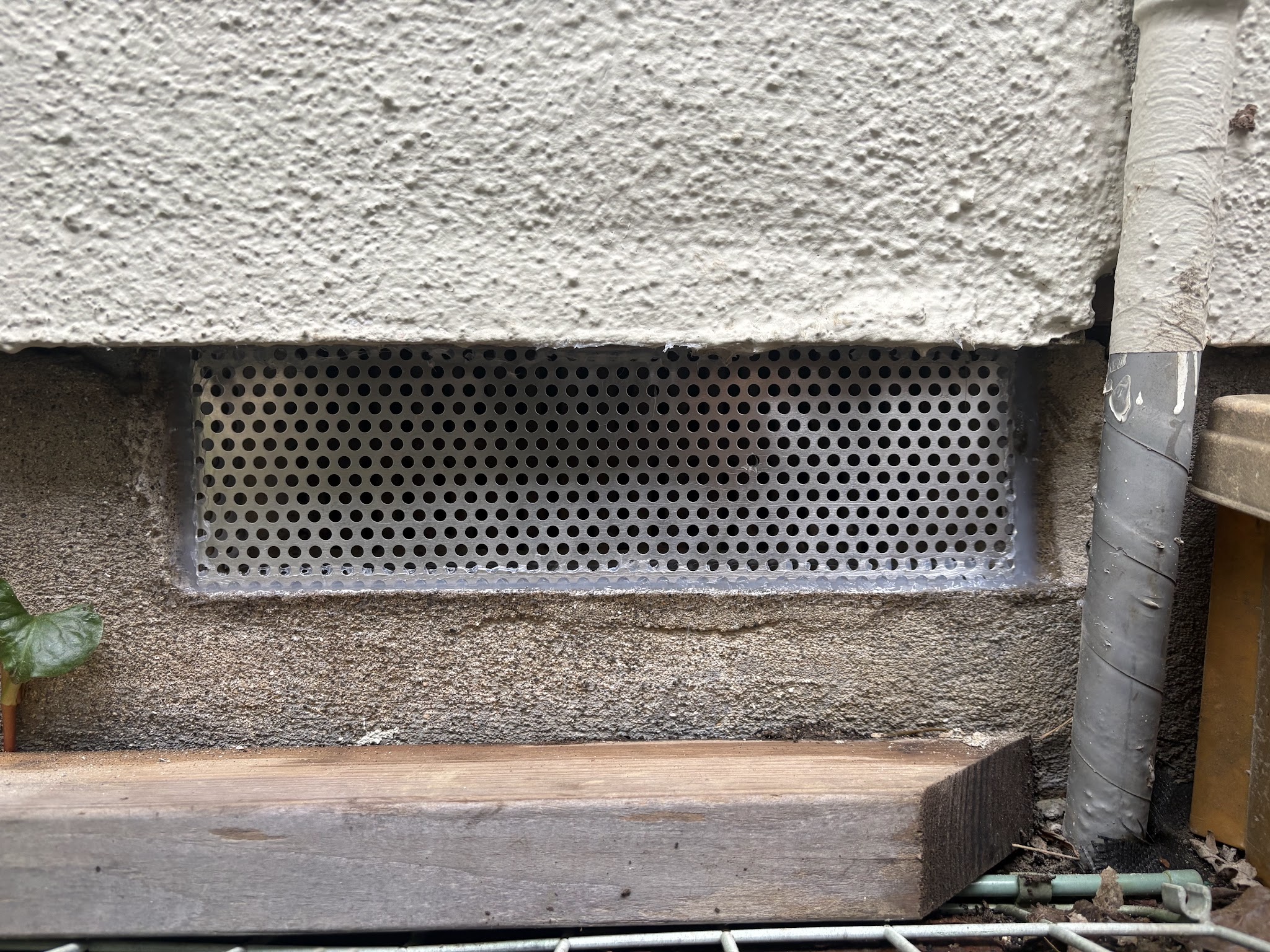 神奈川県横浜市ネズミ駆除現場の写真33
