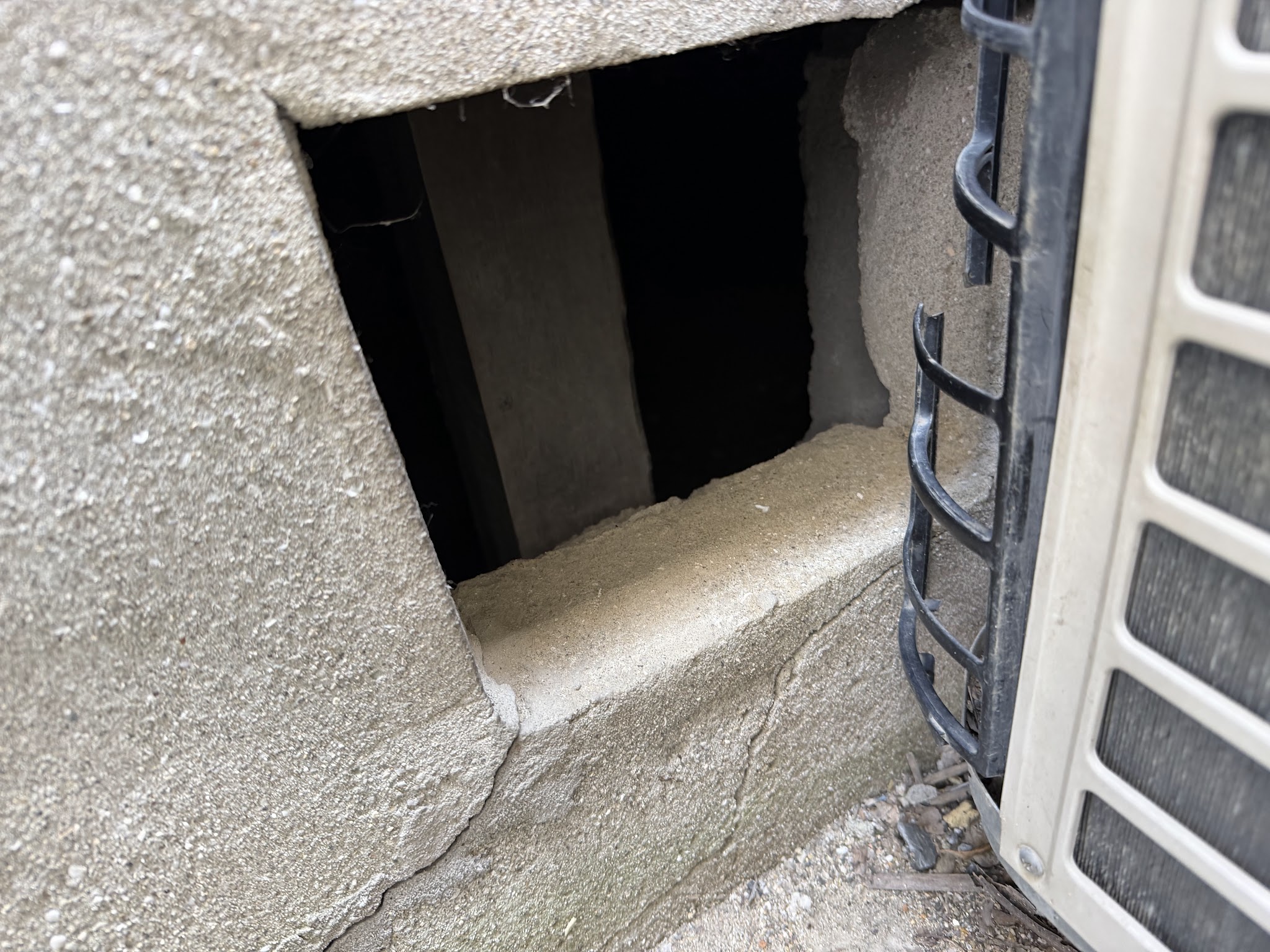 関西イタチ駆除現場の写真7
