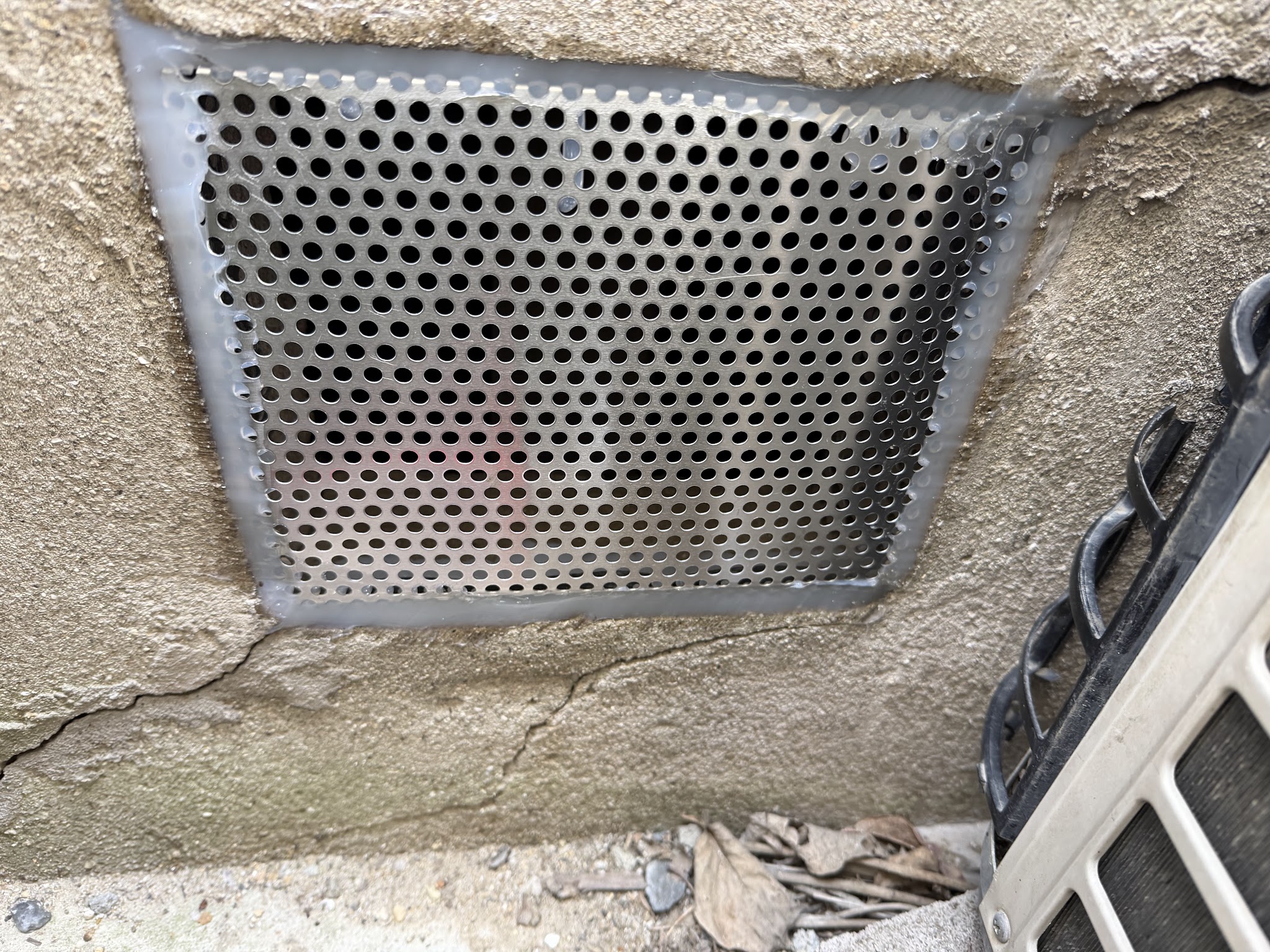 関西イタチ駆除現場の写真3