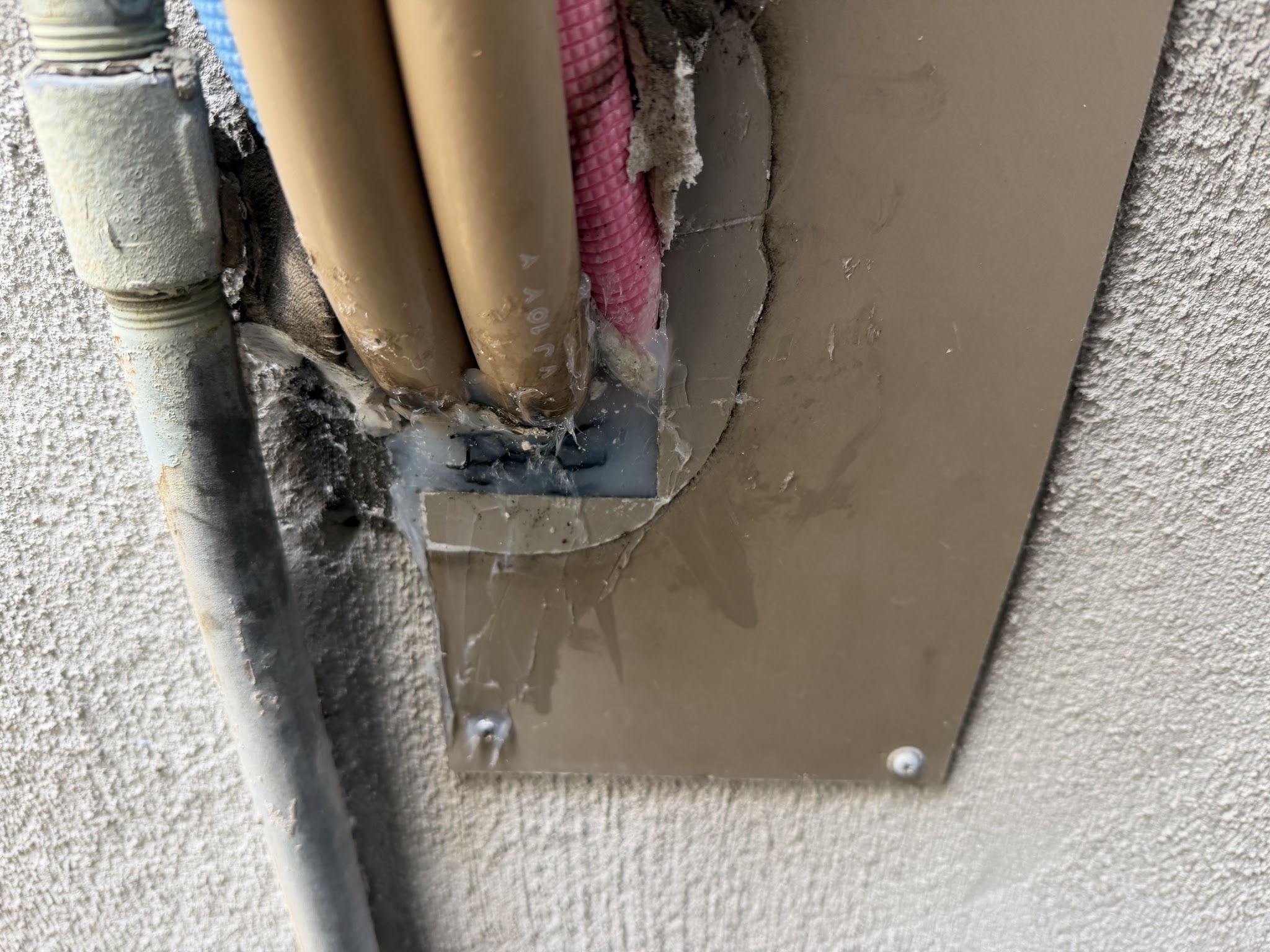 関西イタチ駆除現場の写真18