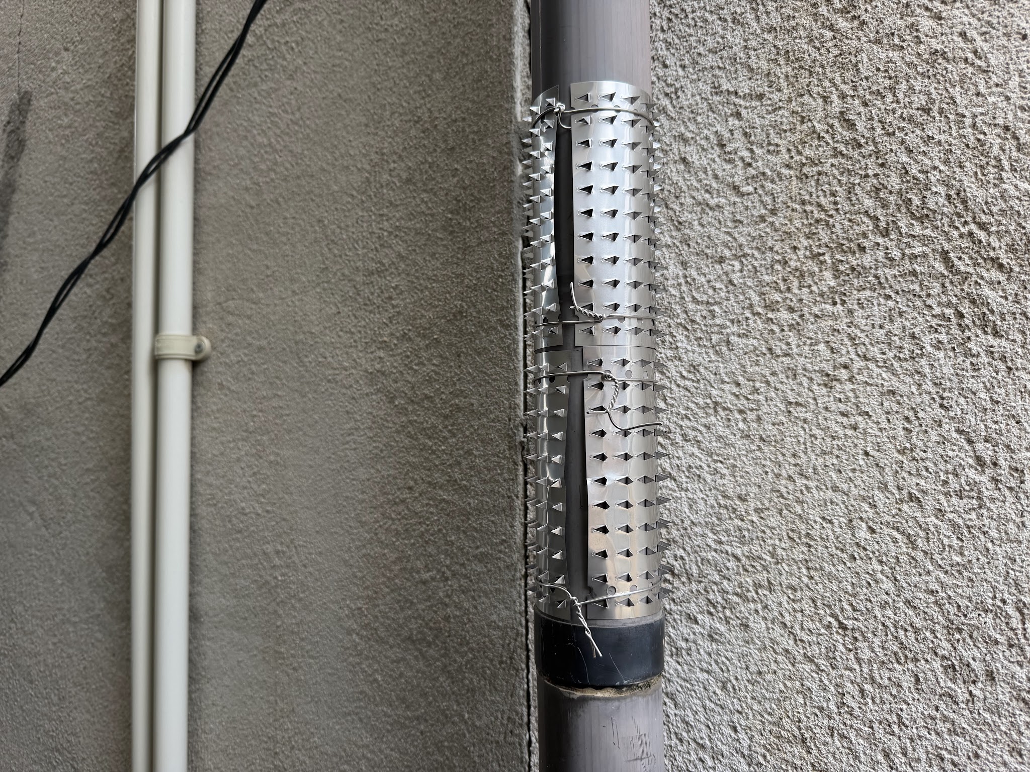 関西イタチ駆除現場の写真2
