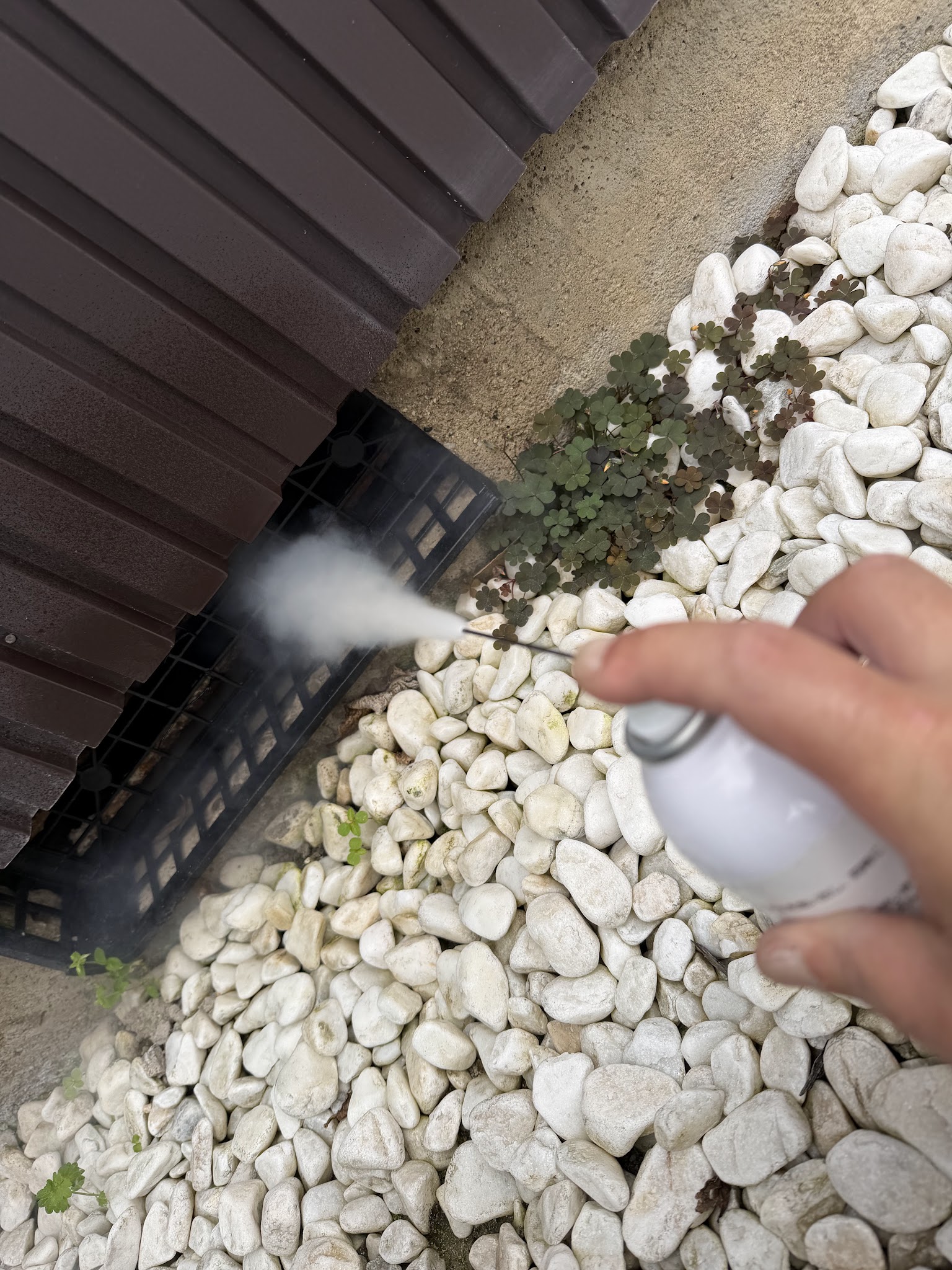愛知県あま市害獣駆除現場の写真41