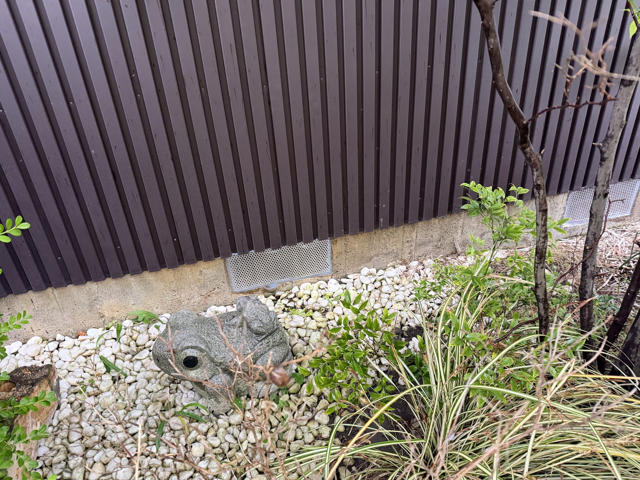 愛知県あま市害獣駆除現場の写真29