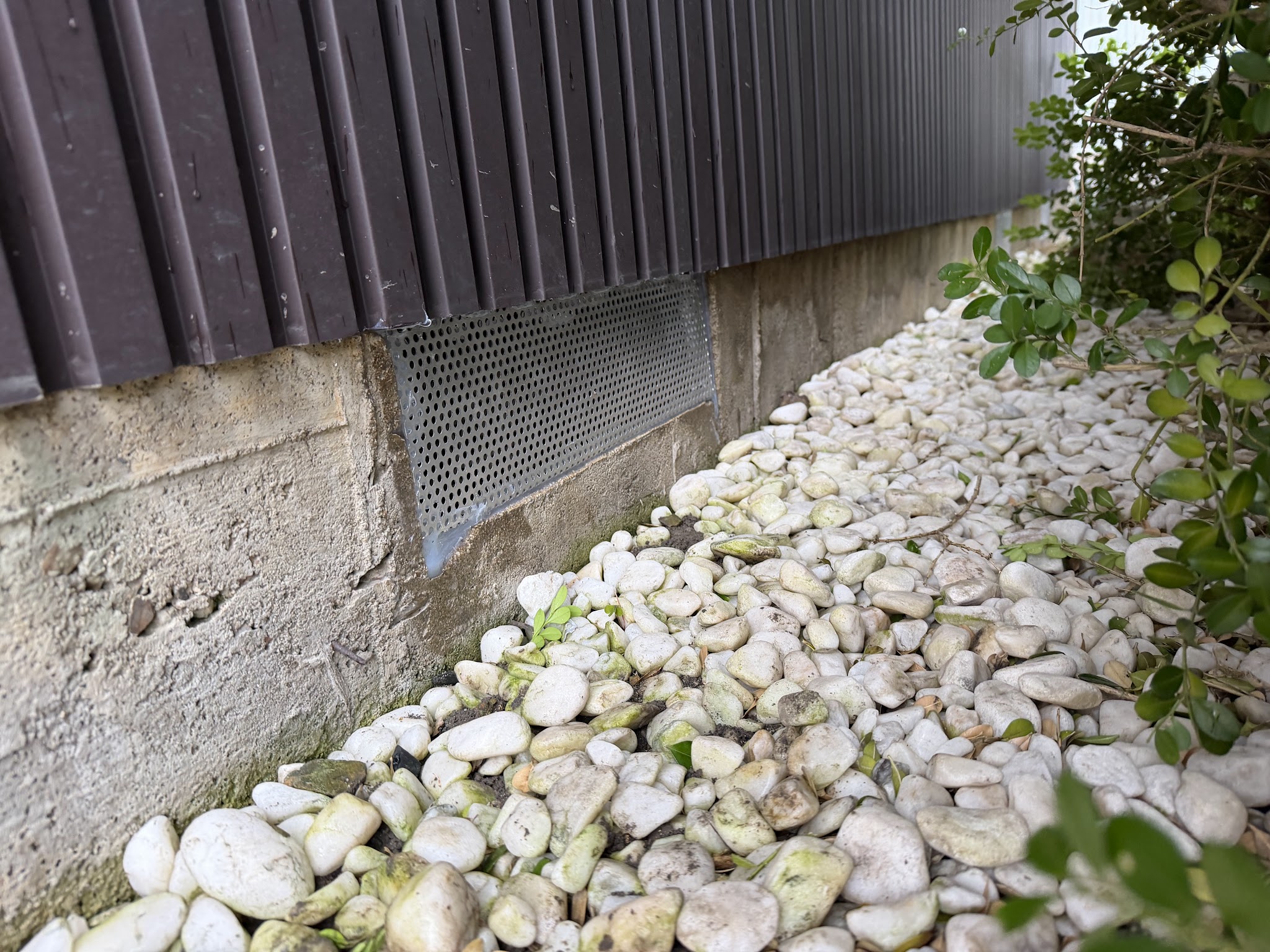 愛知県あま市害獣駆除現場の写真37