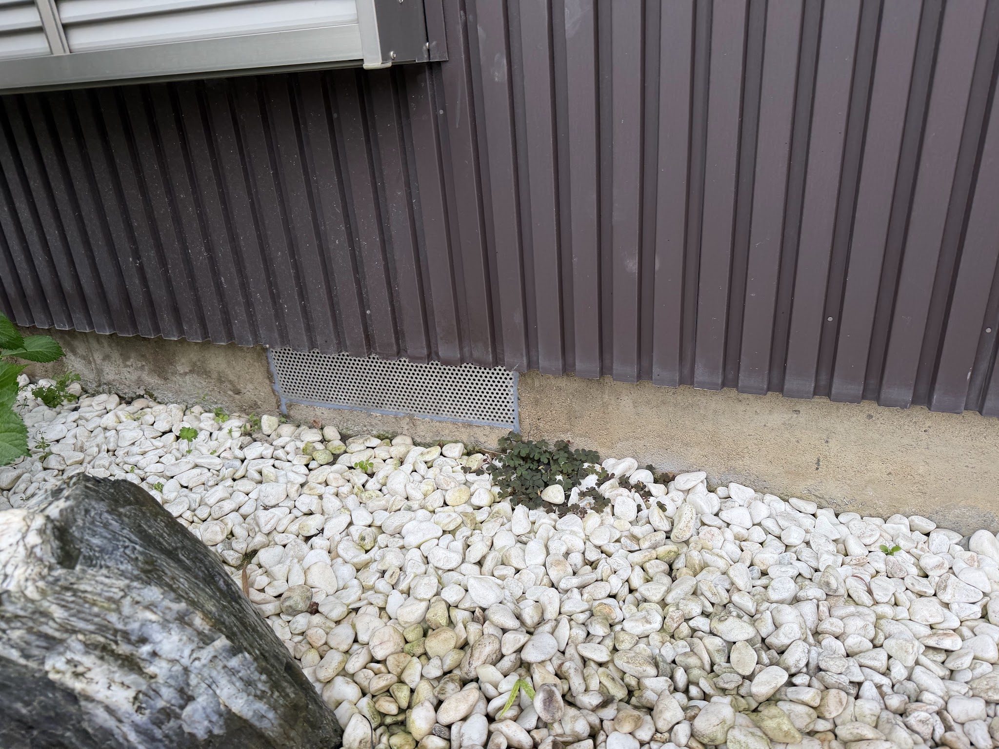 愛知県あま市害獣駆除現場の写真38