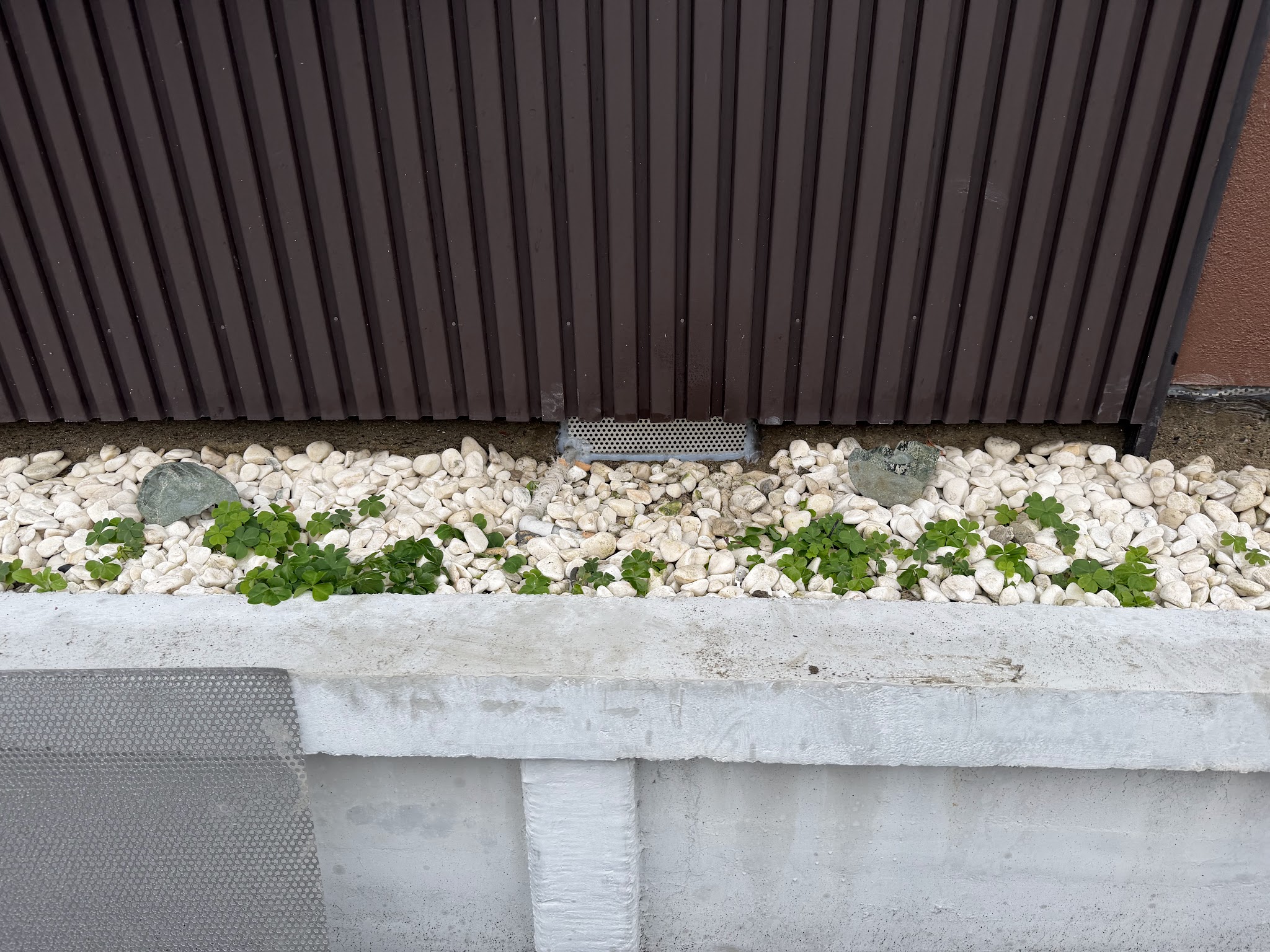 愛知県あま市害獣駆除現場の写真32