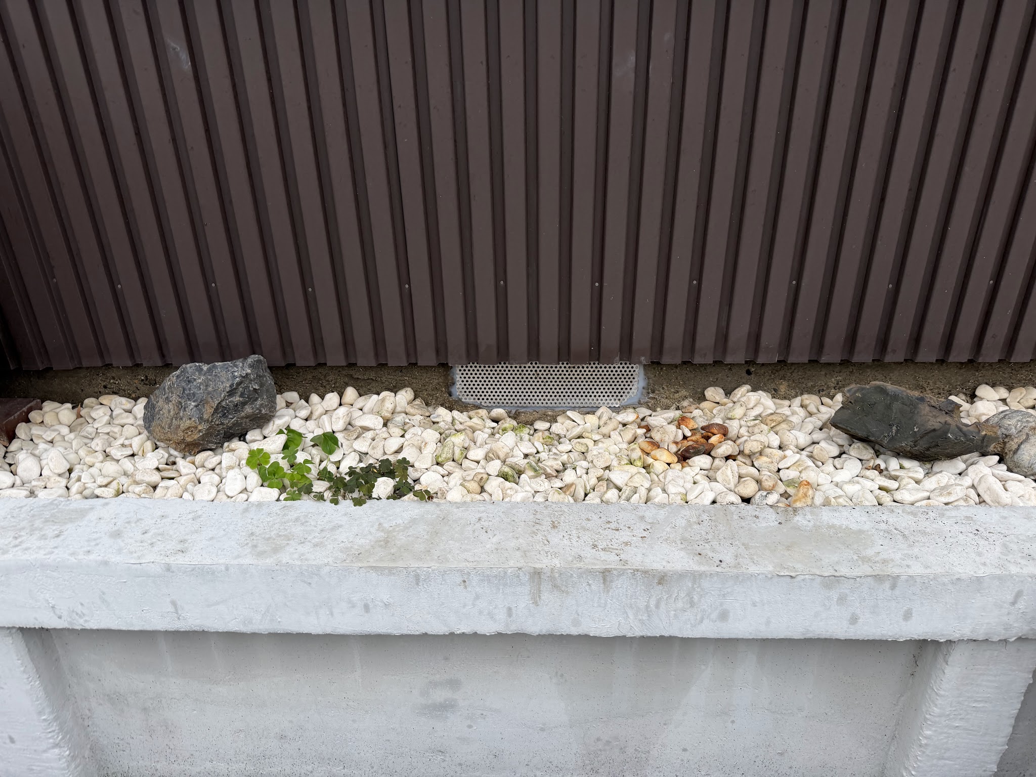 愛知県あま市害獣駆除現場の写真46