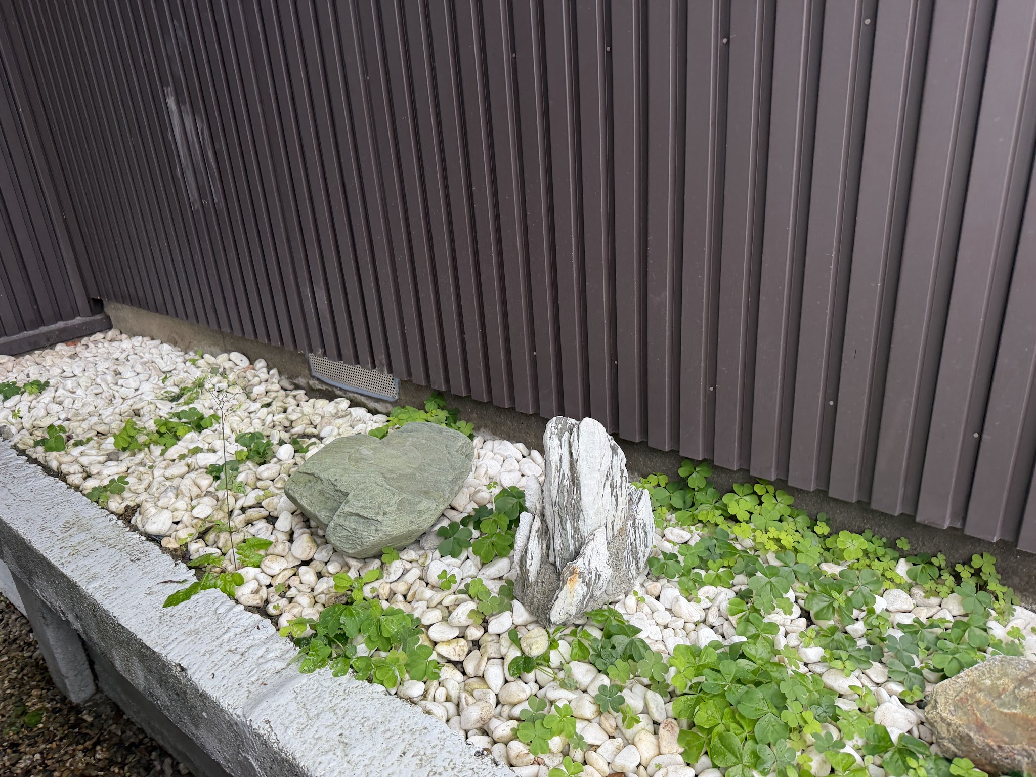 愛知県あま市害獣駆除現場の写真42
