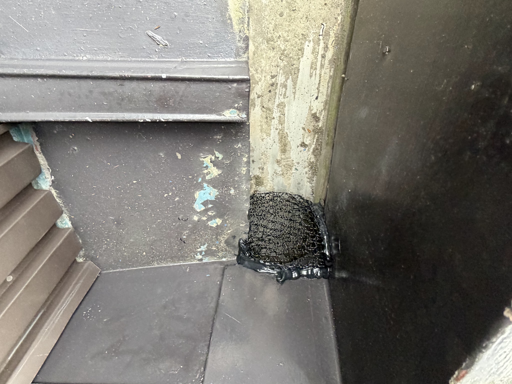 愛知県あま市害獣駆除現場の写真9