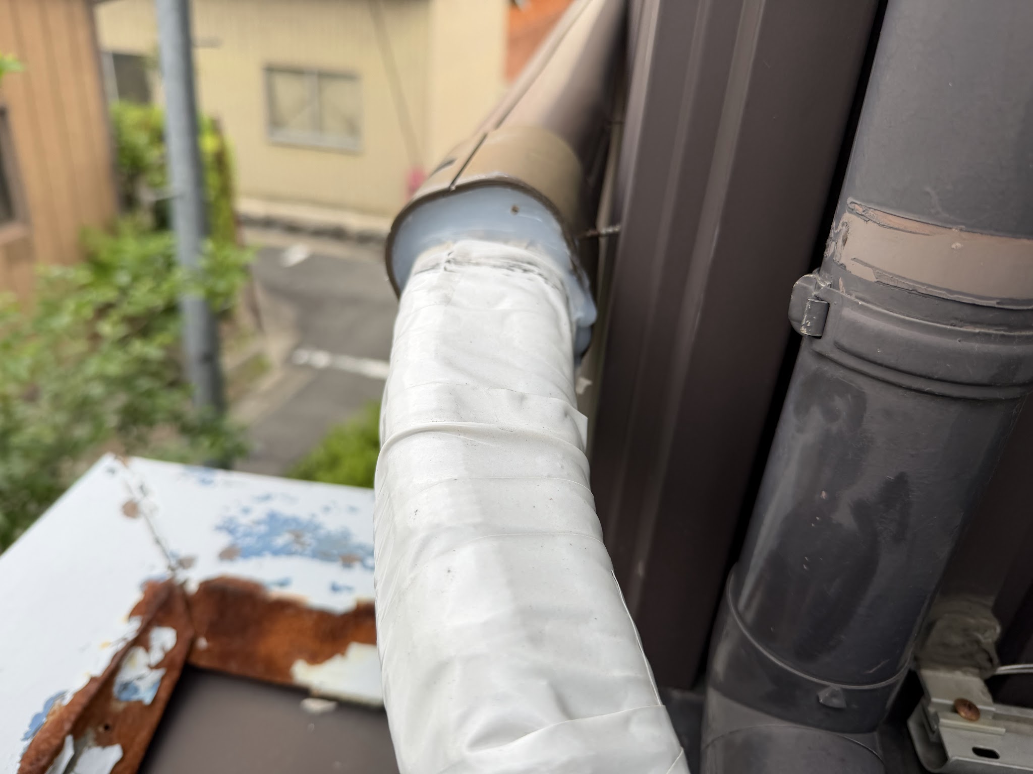 愛知県あま市害獣駆除現場の写真25