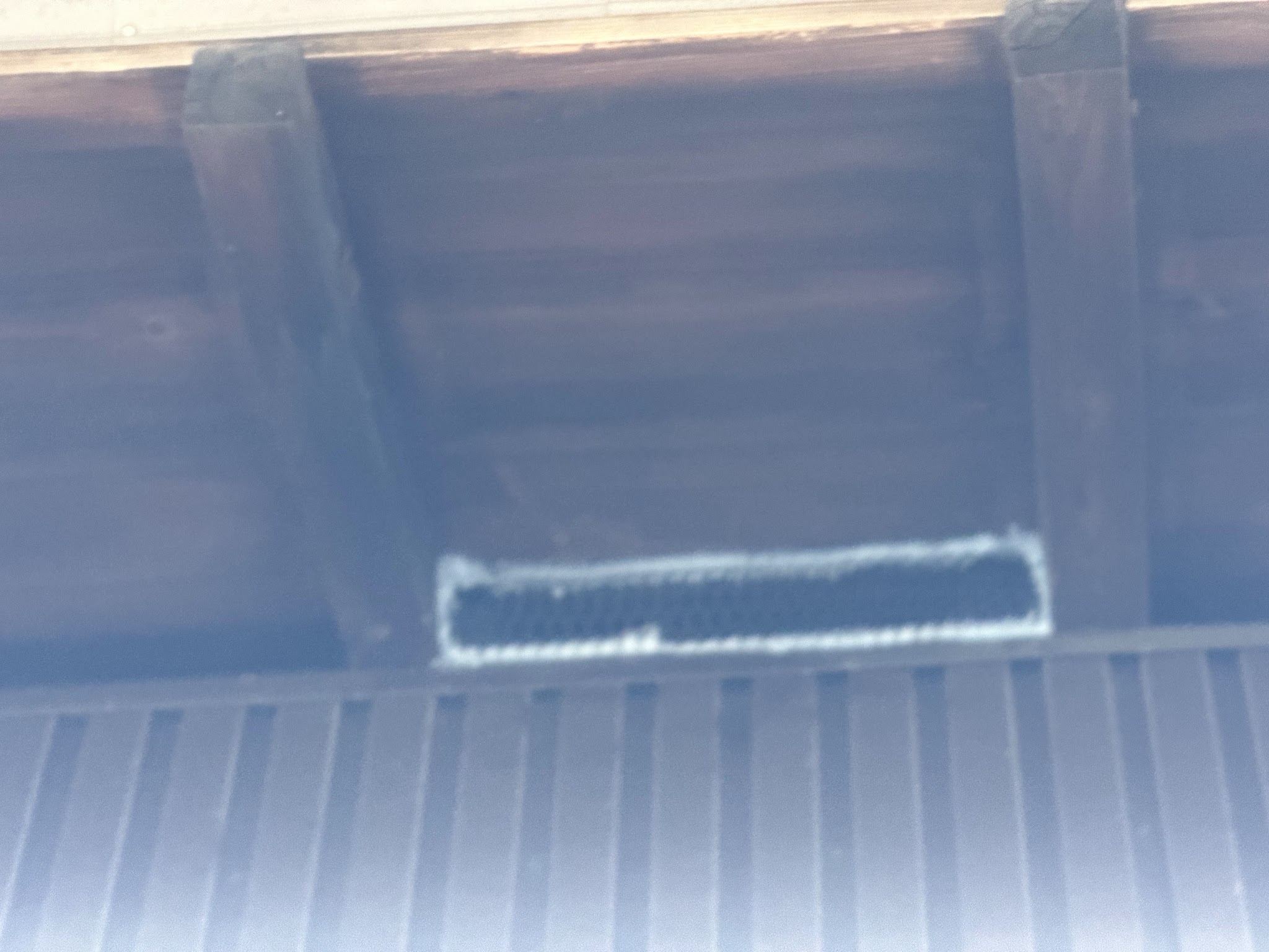 愛知県あま市害獣駆除現場の写真1