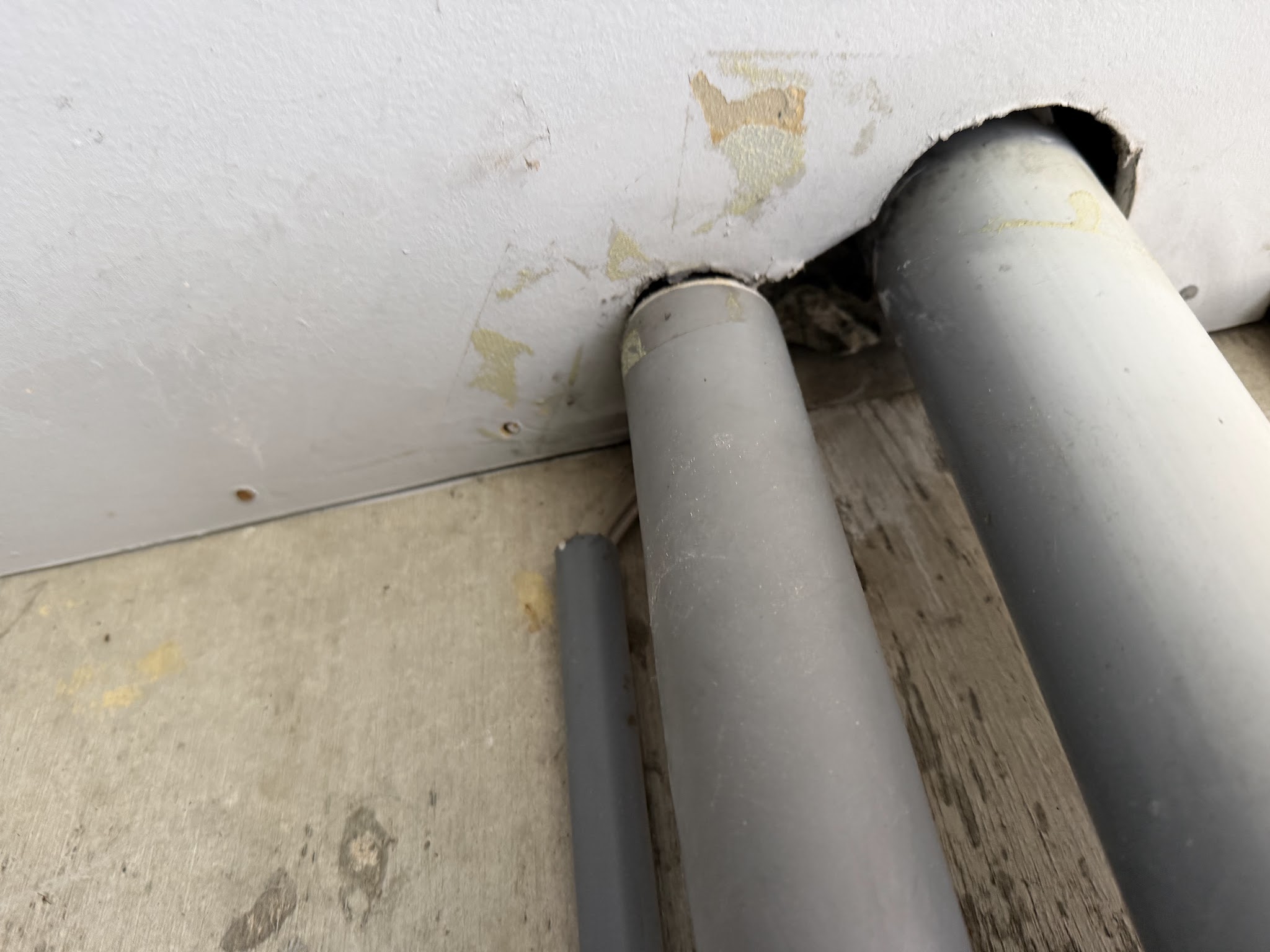 京都府京都市害獣駆除現場の写真12