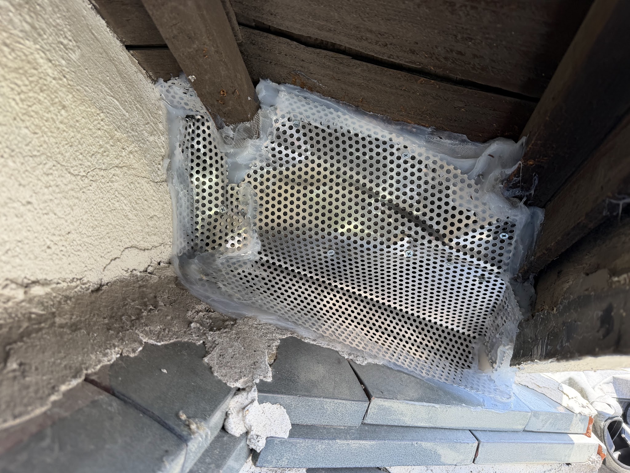 大阪府吹田市害獣駆除現場の写真18