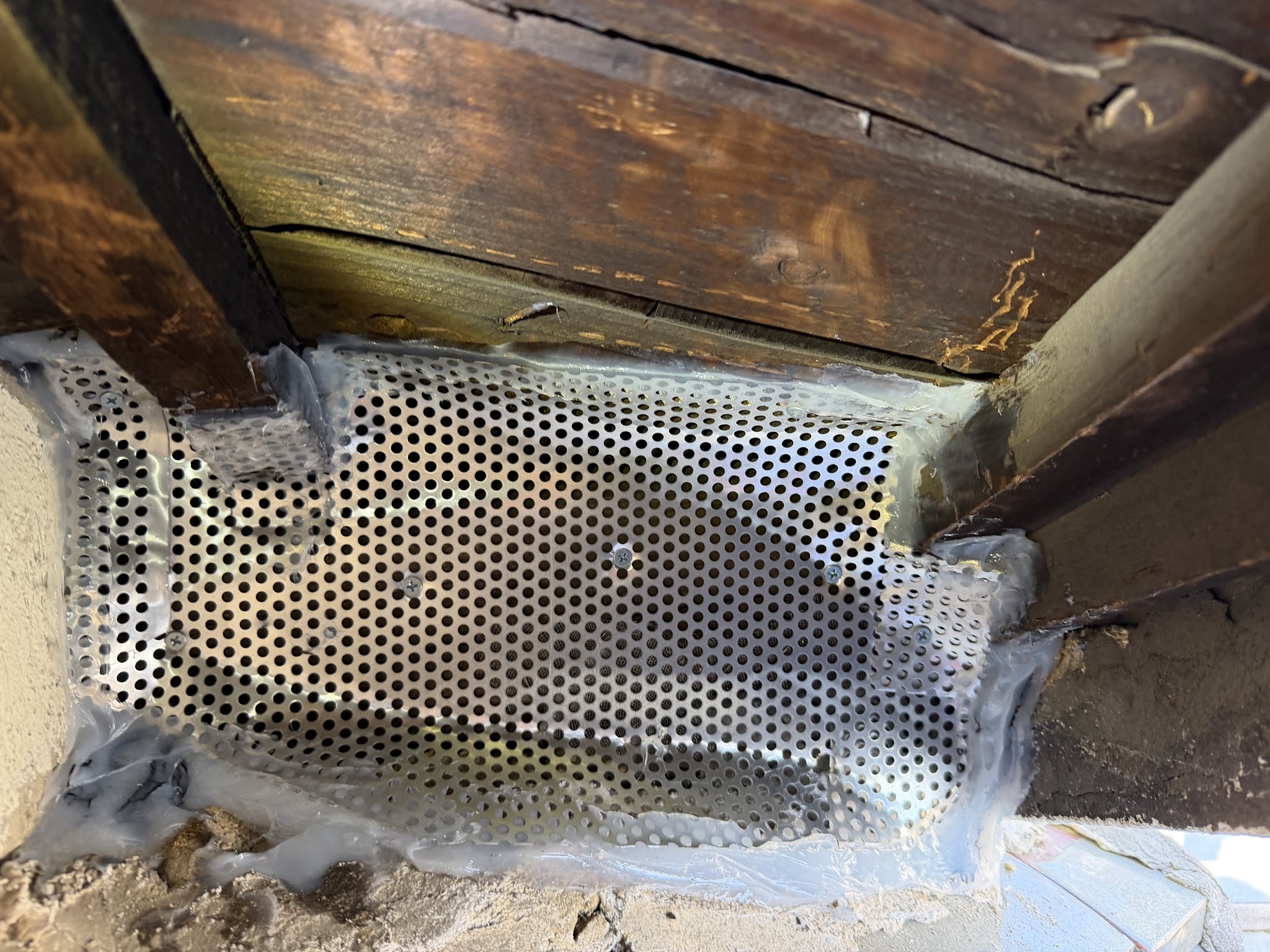 大阪府吹田市害獣駆除現場の写真12