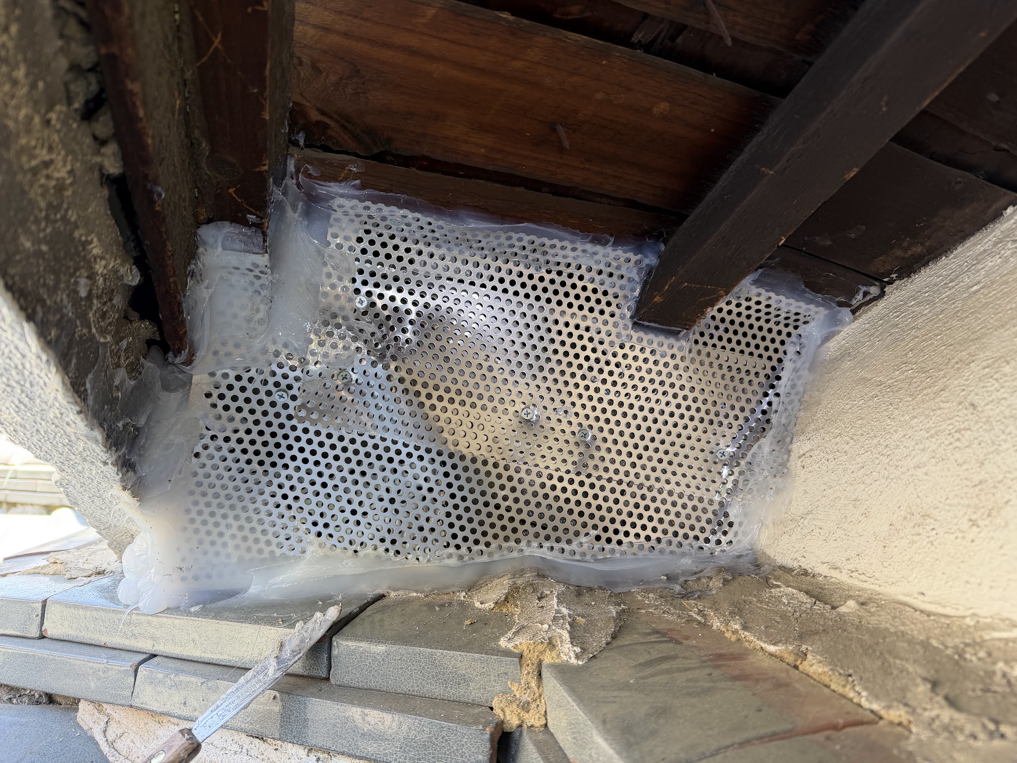 大阪府吹田市害獣駆除現場の写真4