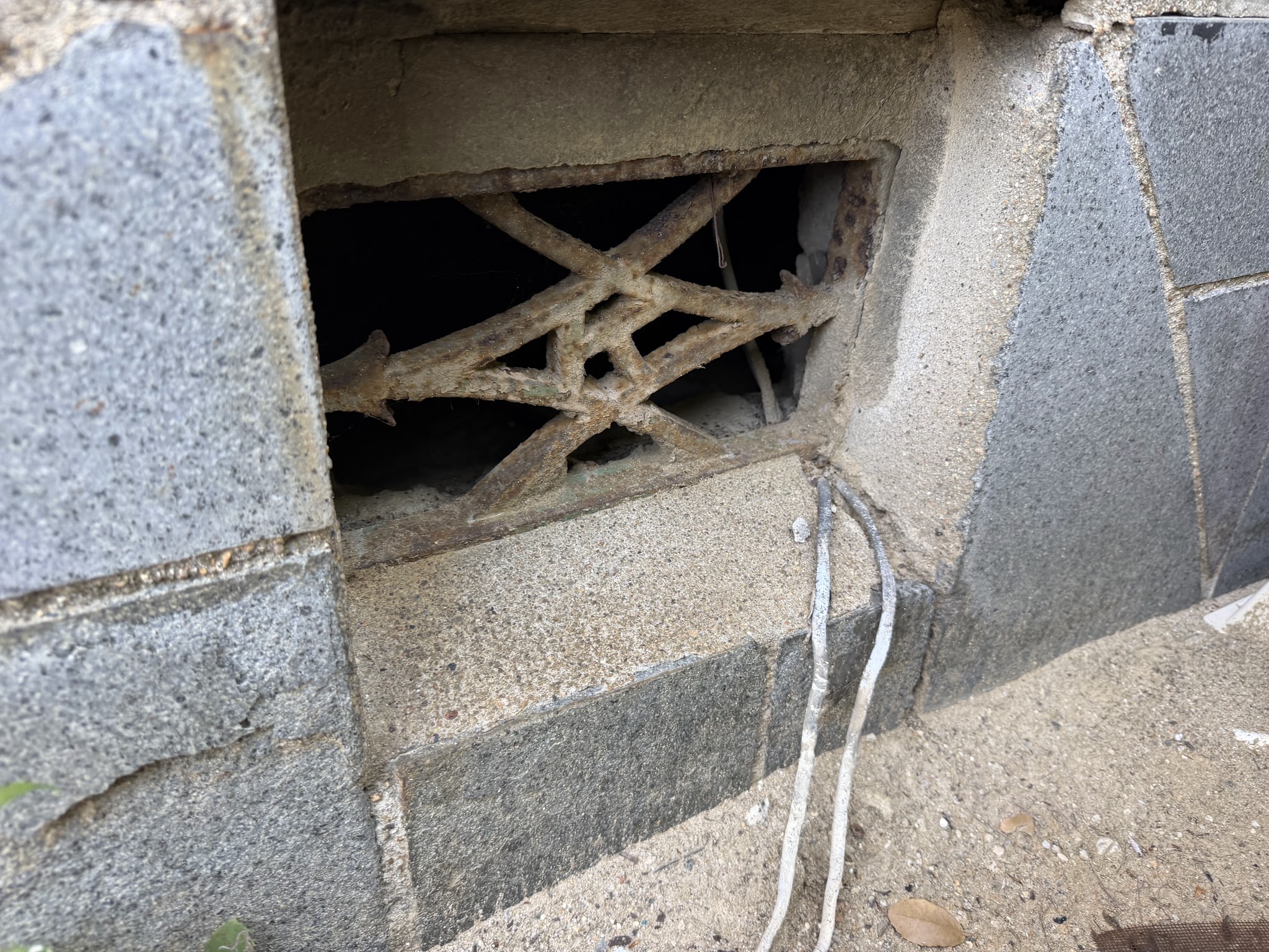 大阪府吹田市害獣駆除現場の写真8
