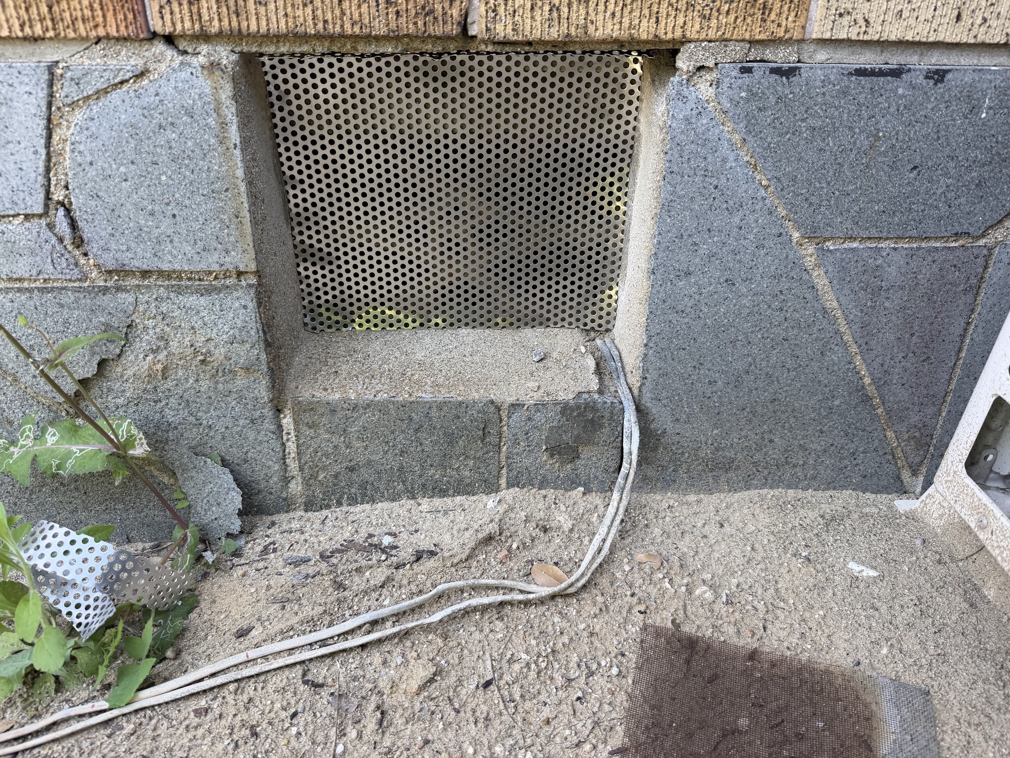 大阪府吹田市害獣駆除現場の写真1