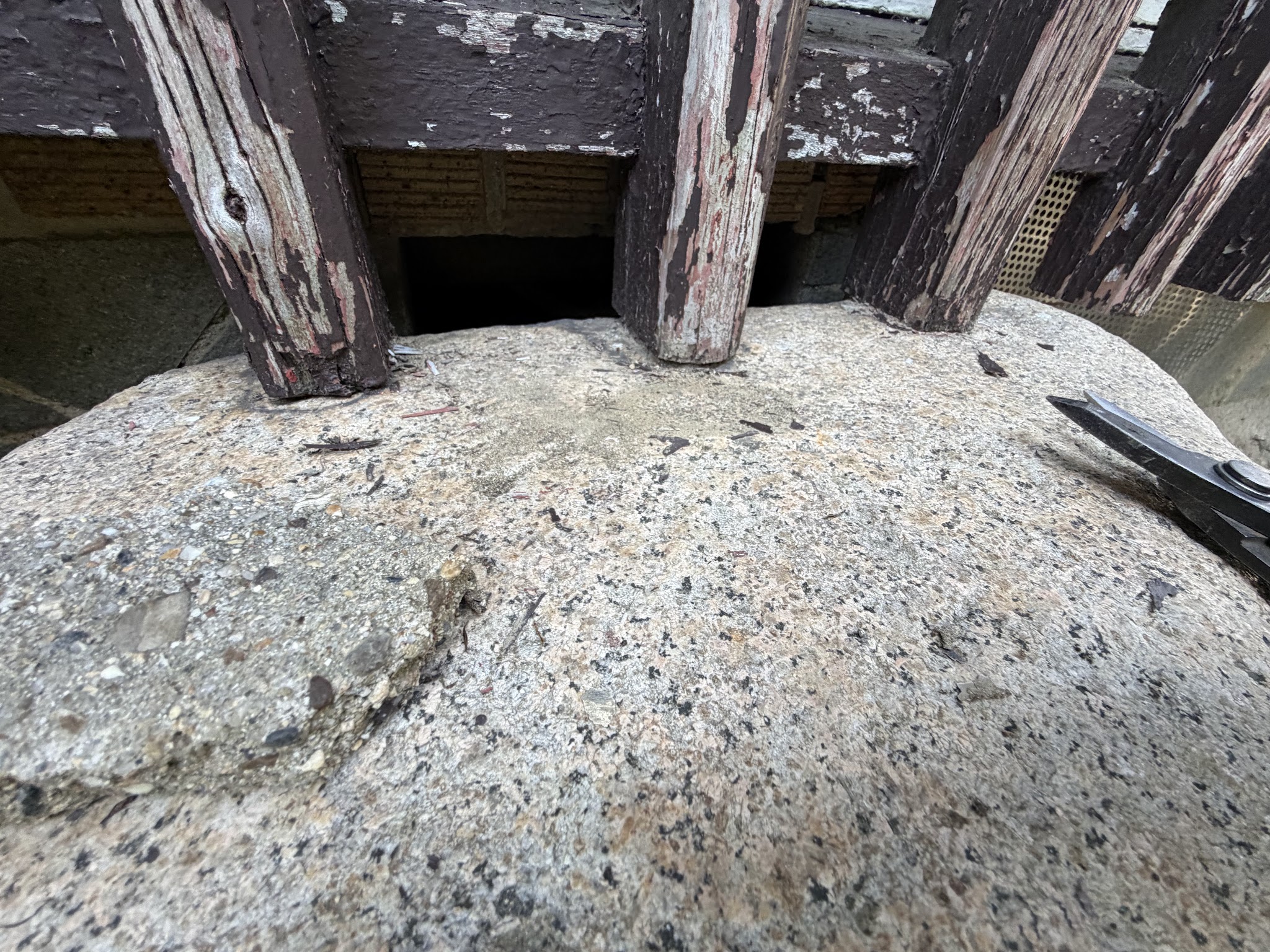 大阪府吹田市害獣駆除現場の写真3