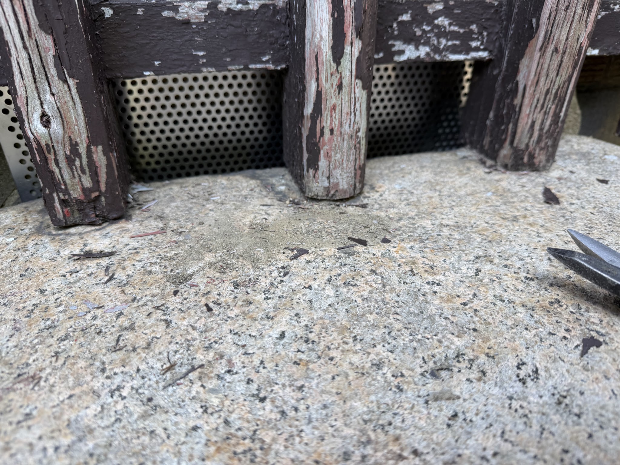 大阪府吹田市害獣駆除現場の写真14
