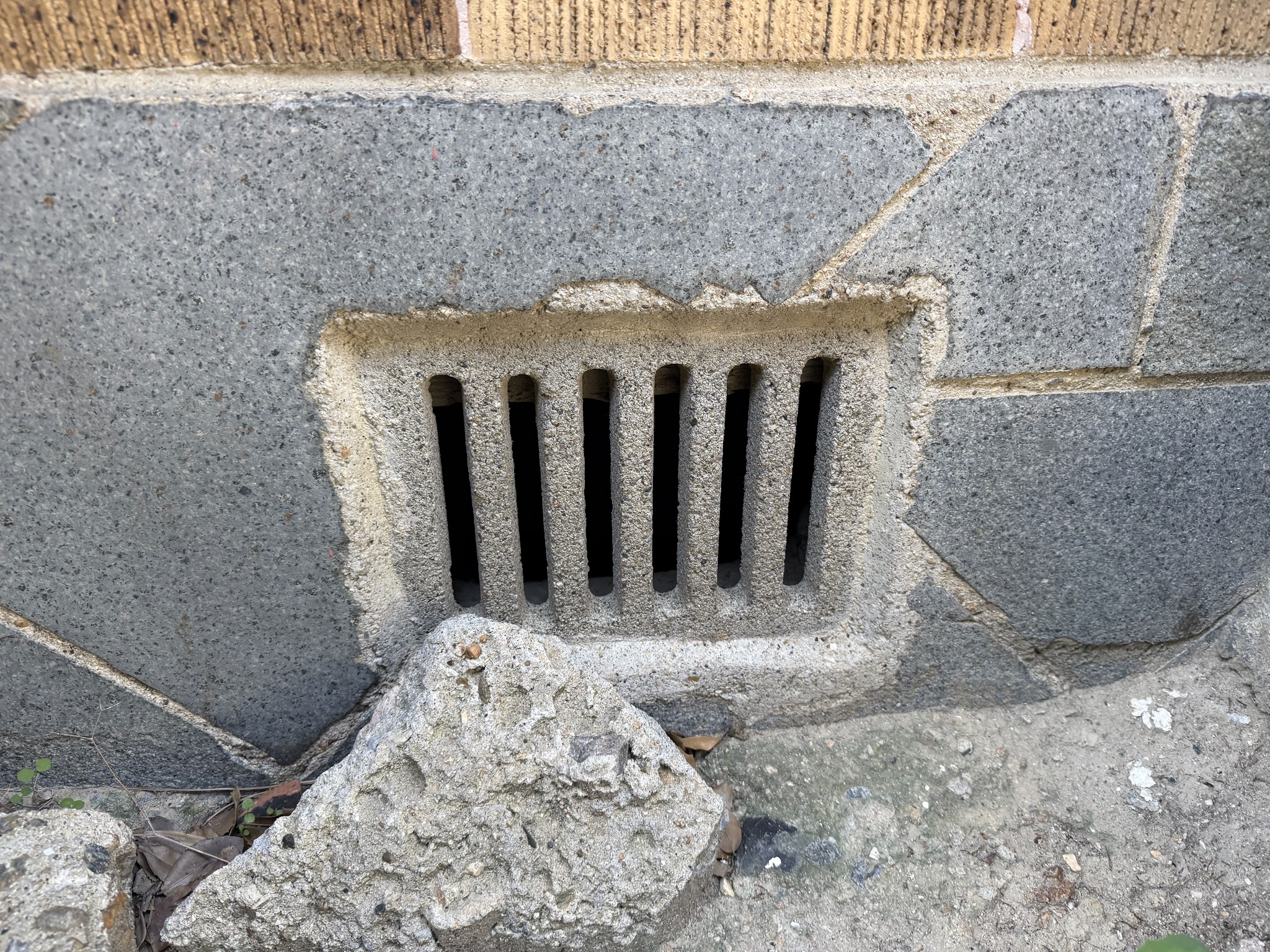 大阪府吹田市害獣駆除現場の写真2