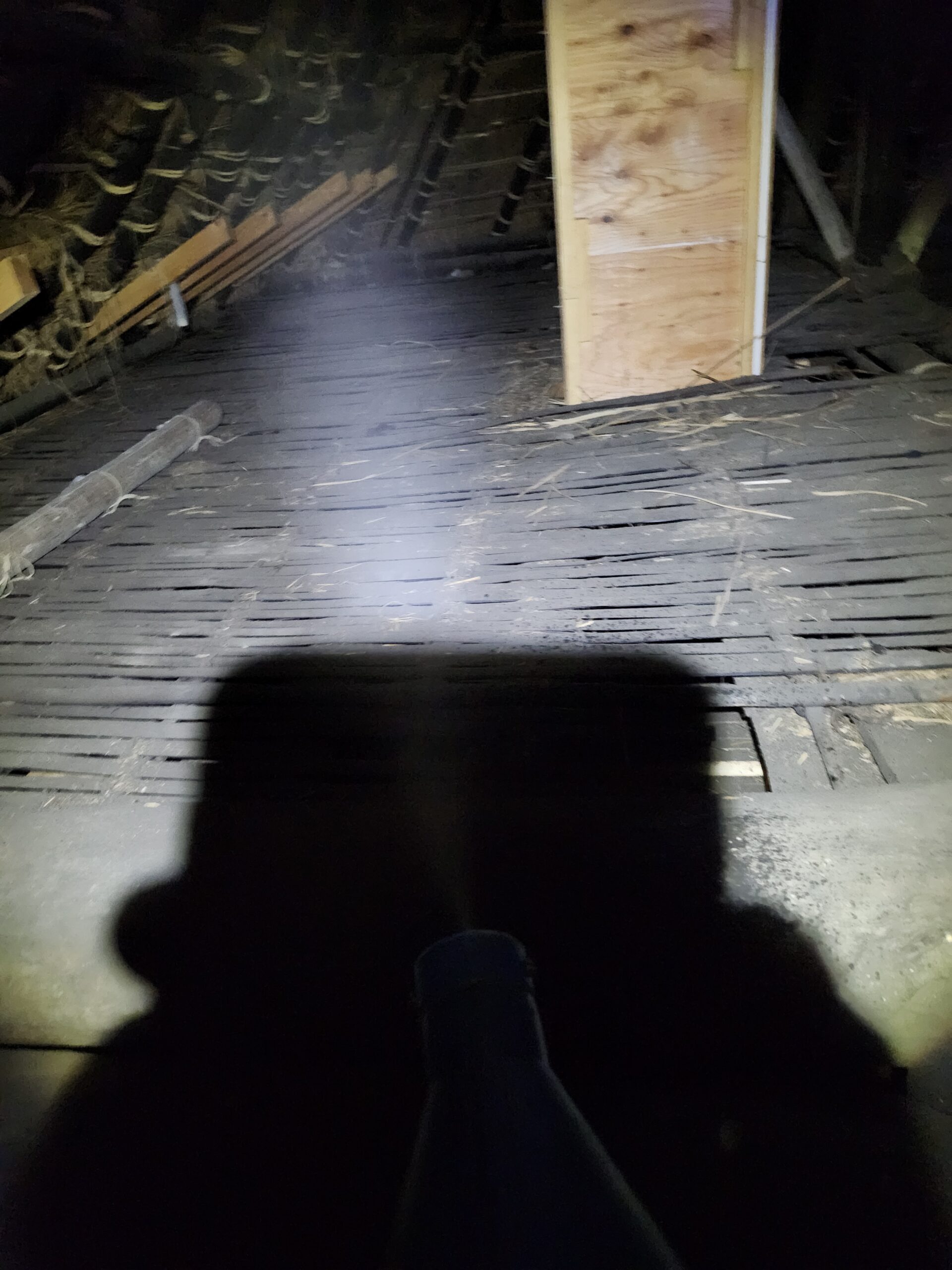 京都府南丹市害獣駆除現場の写真46