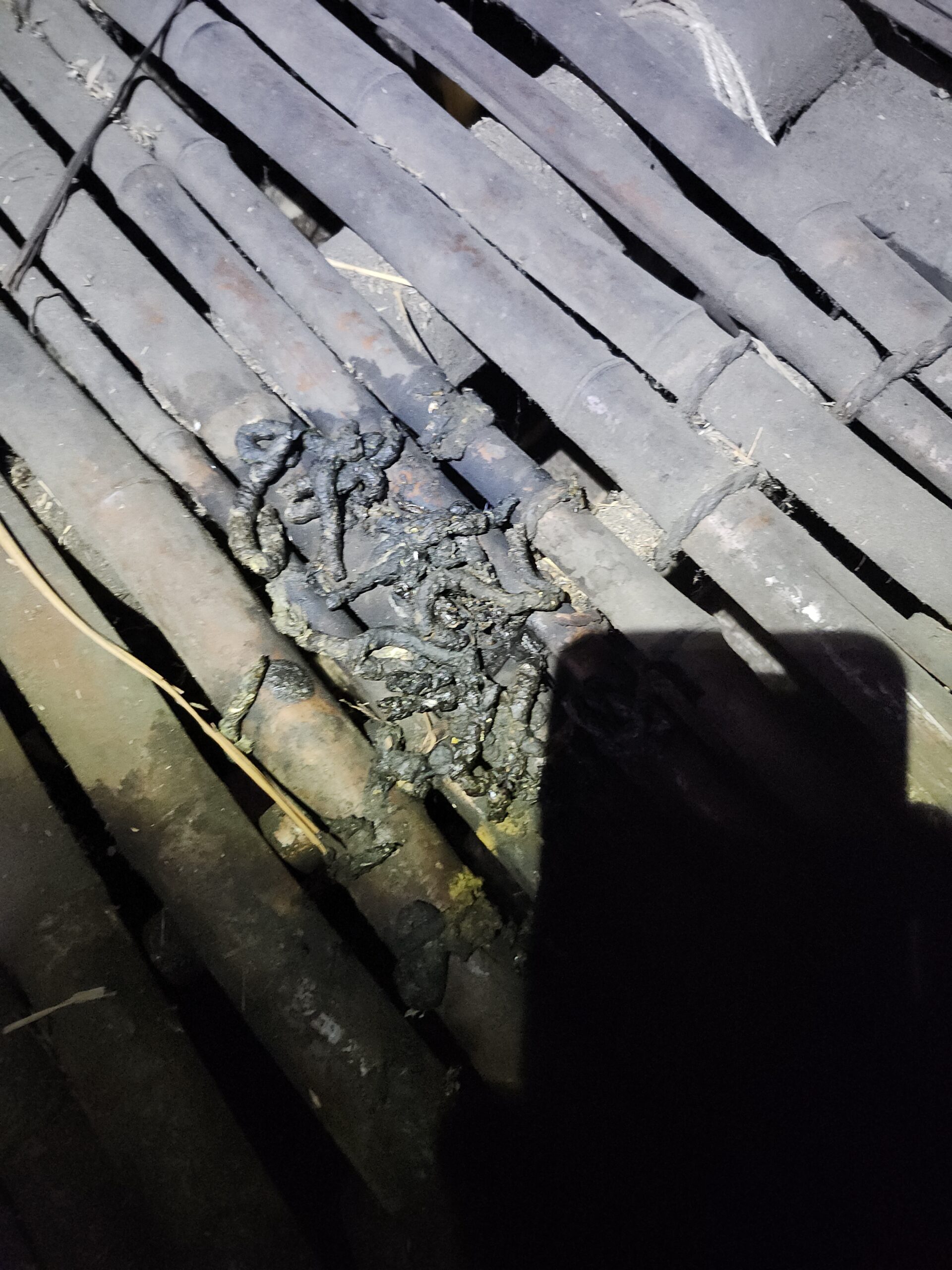 京都府南丹市害獣駆除現場の写真6