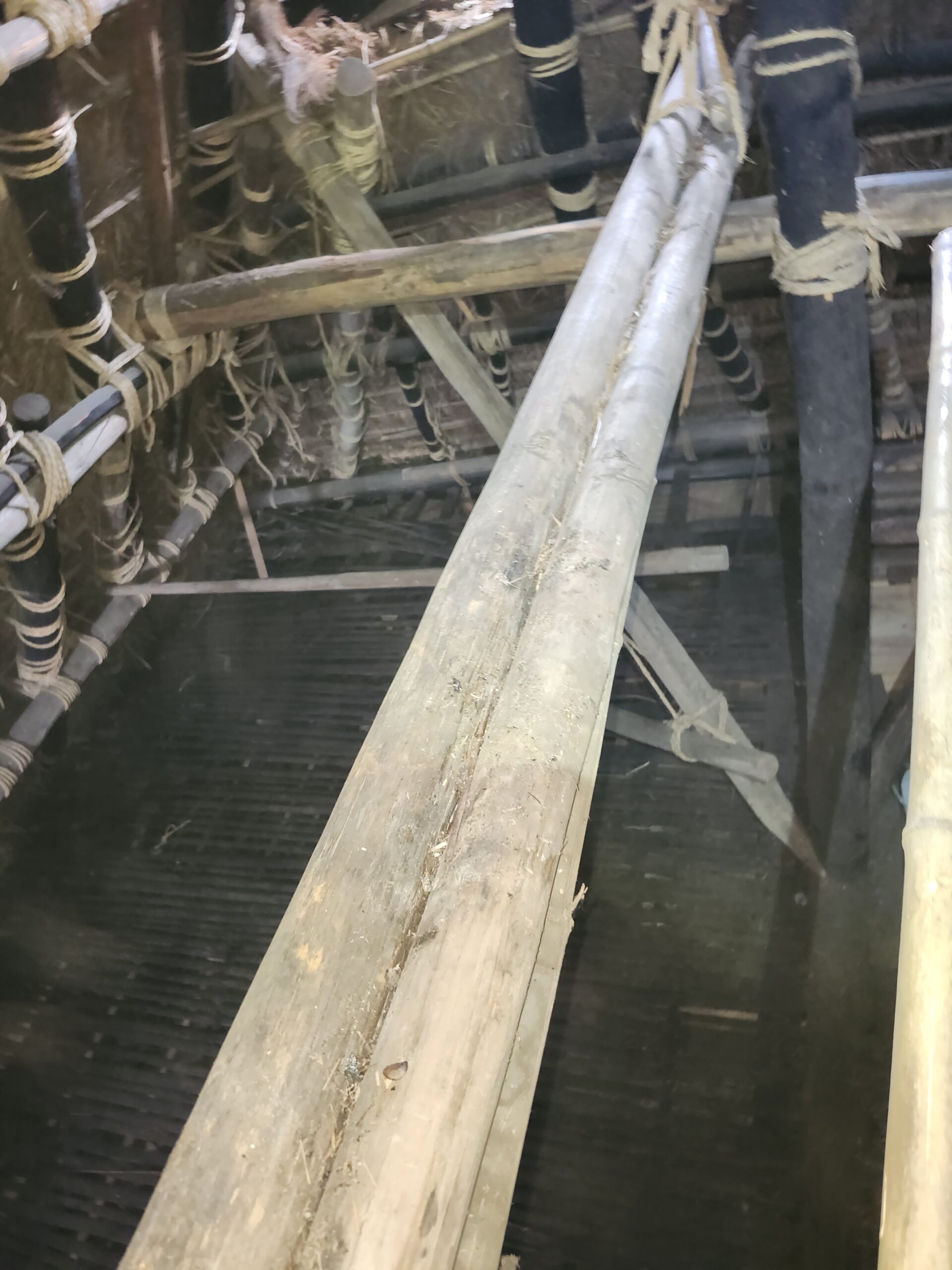 京都府南丹市害獣駆除現場の写真3