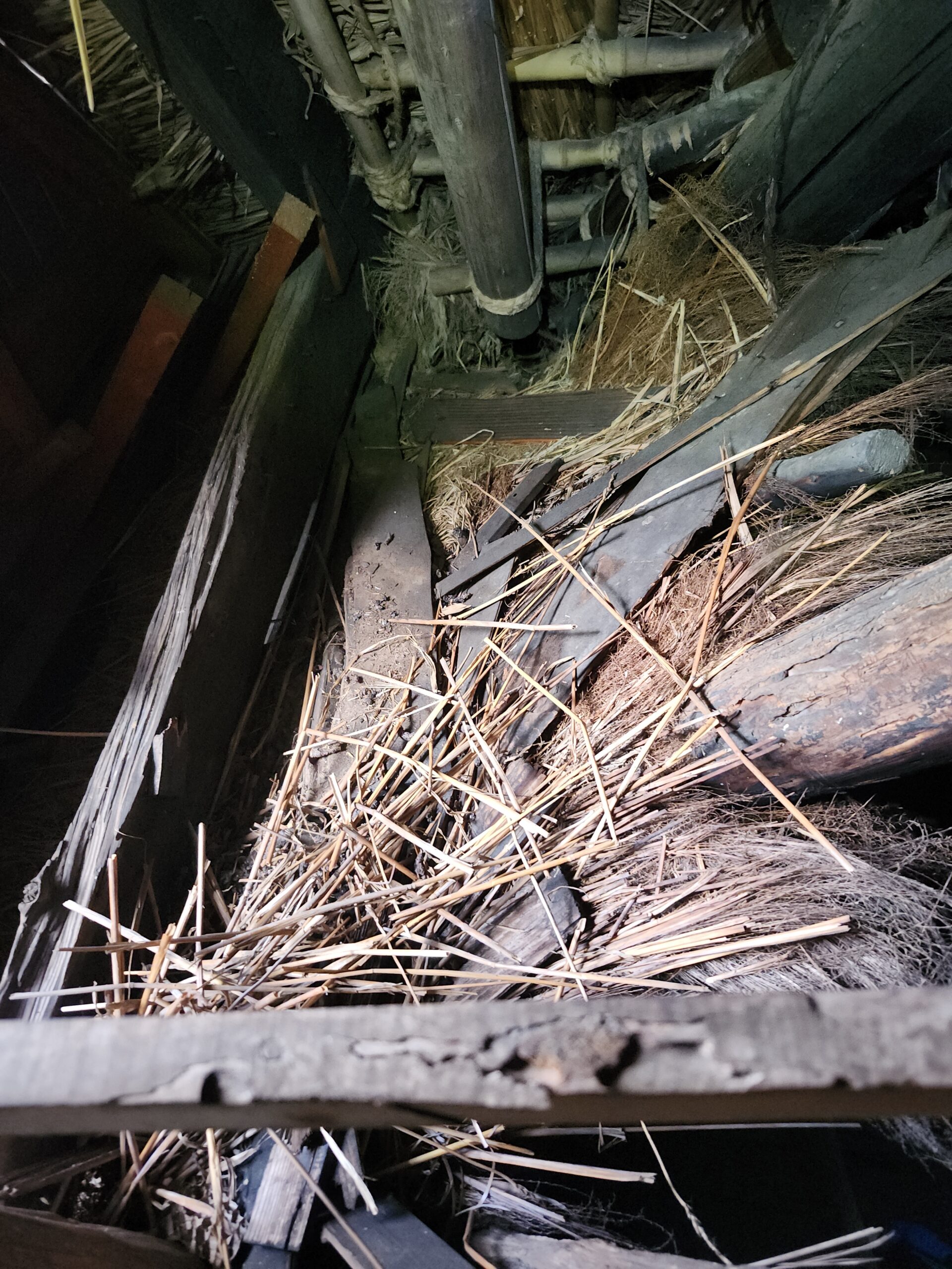 京都府南丹市害獣駆除現場の写真2