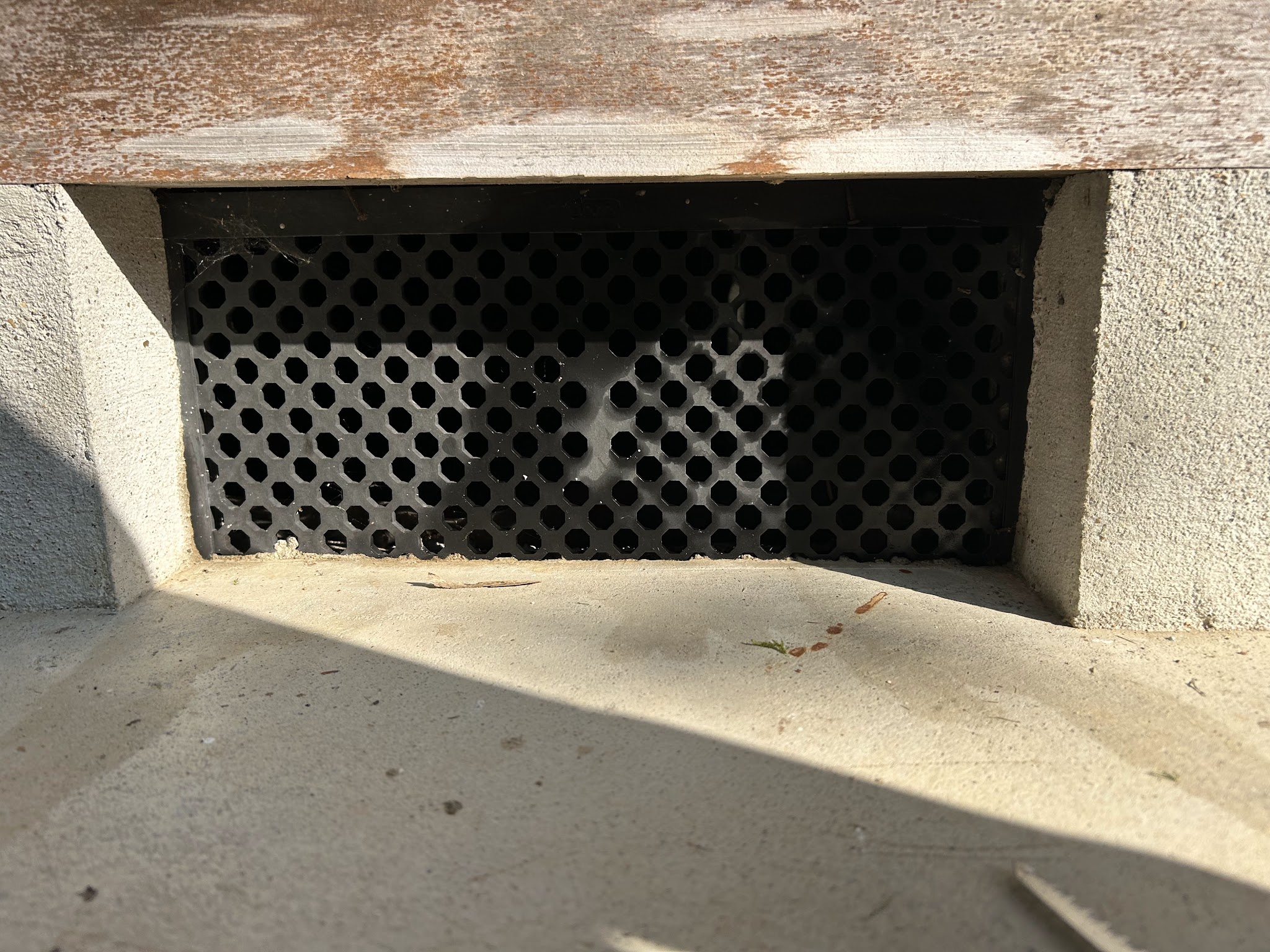京都府南丹市害獣駆除現場の写真19