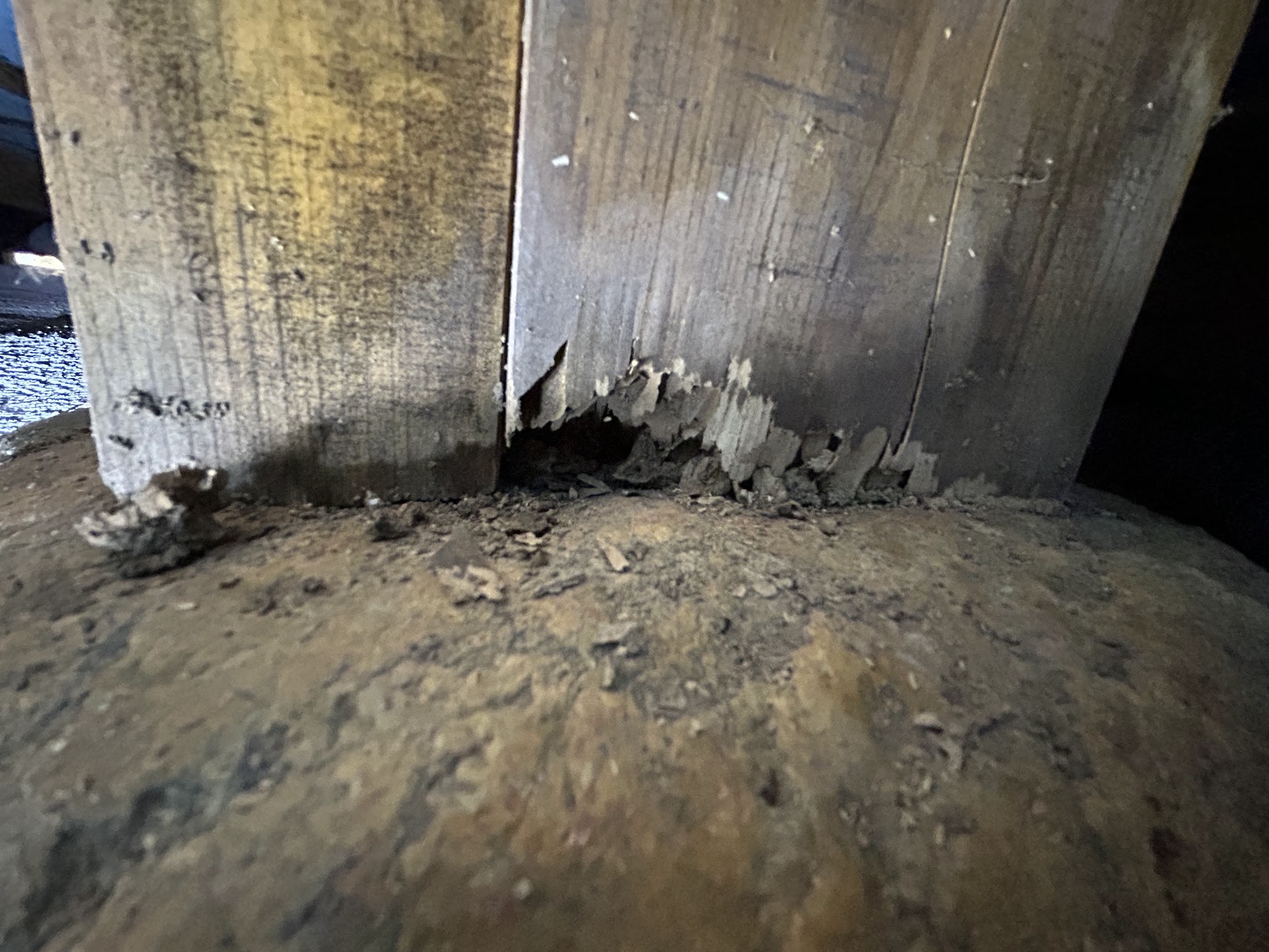 京都府南丹市害獣駆除現場の写真21