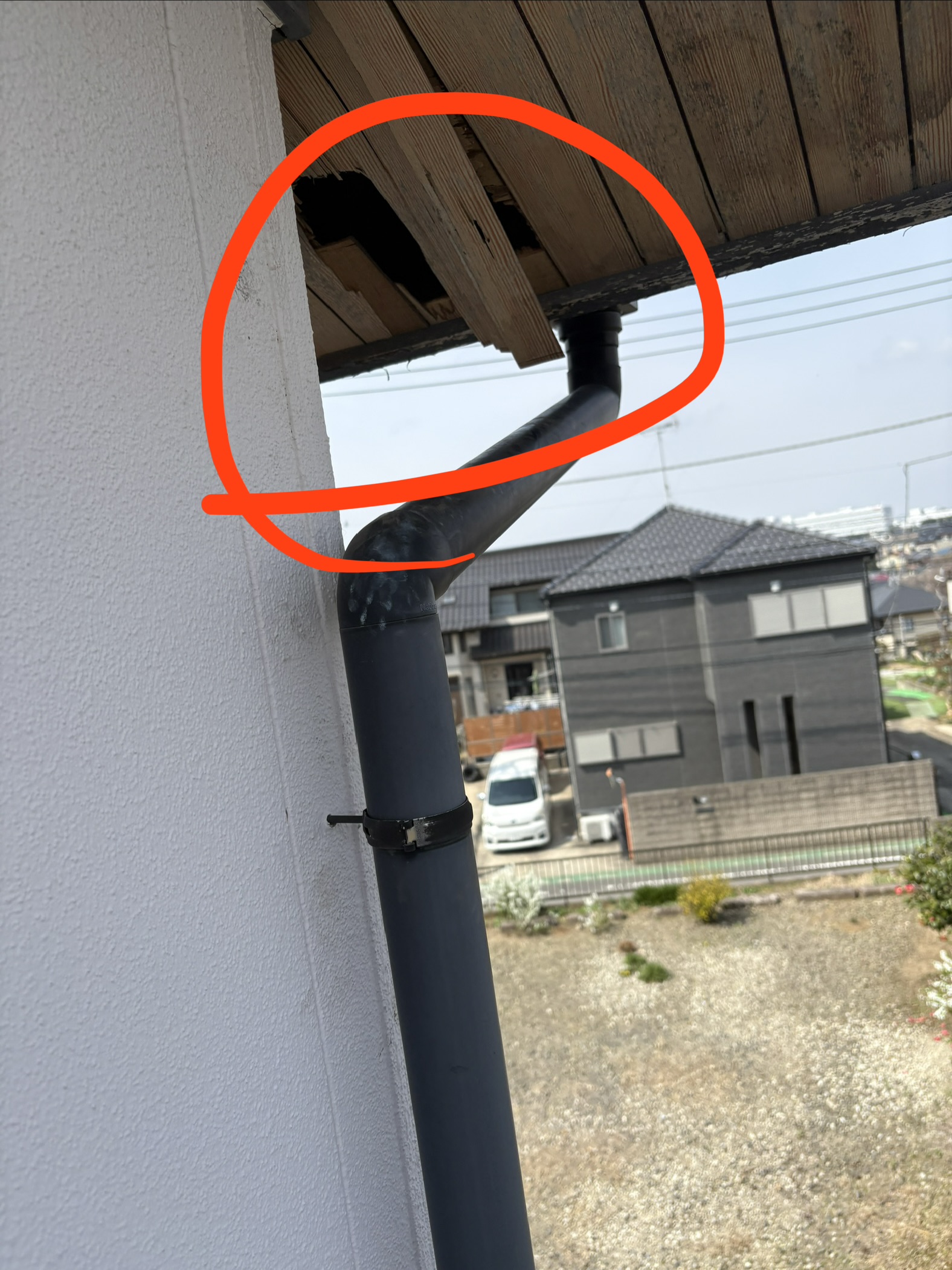 茨城県取手市中型害獣駆除現場の写真15