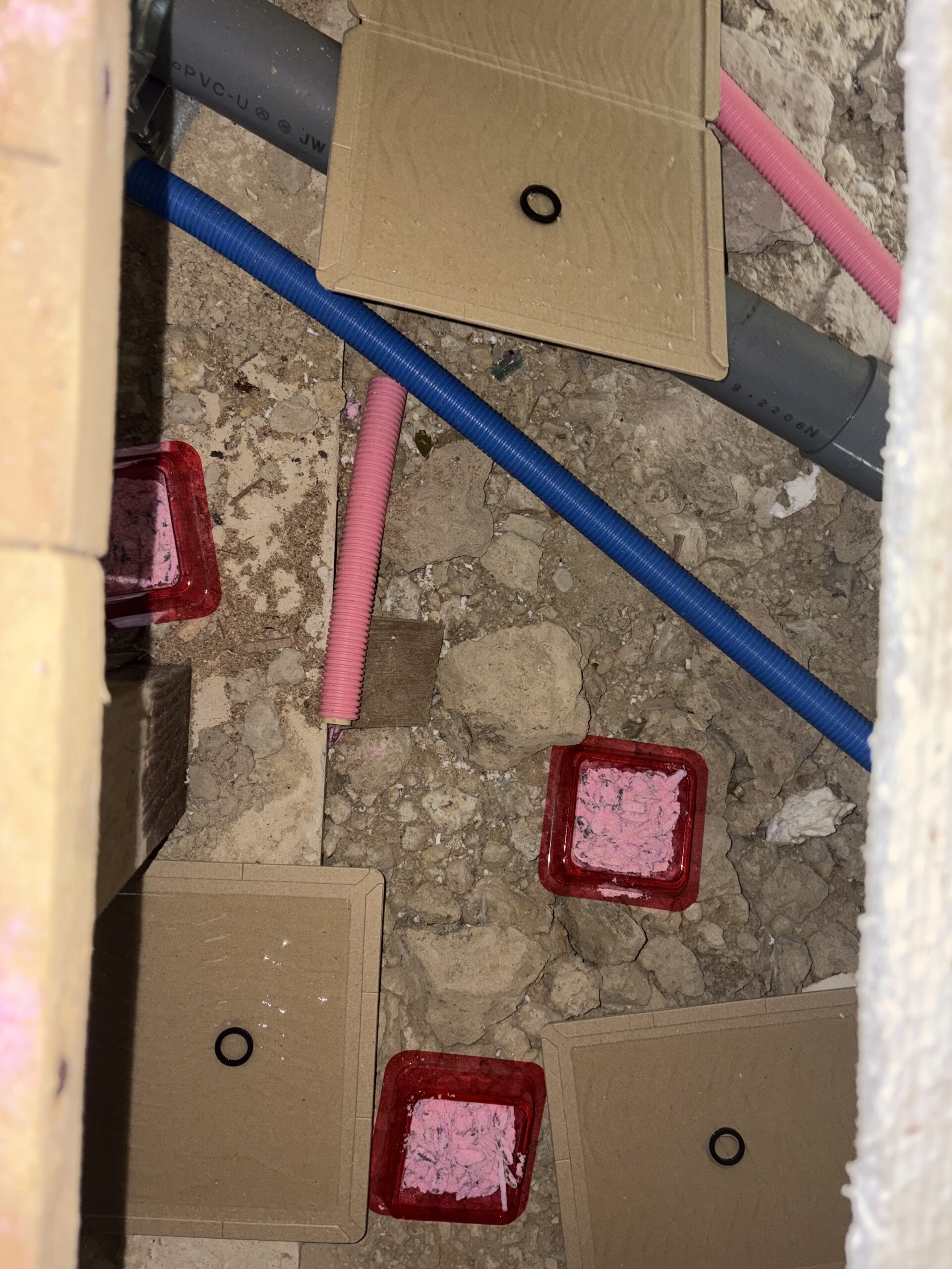 滋賀県大津市害獣駆除現場の写真35