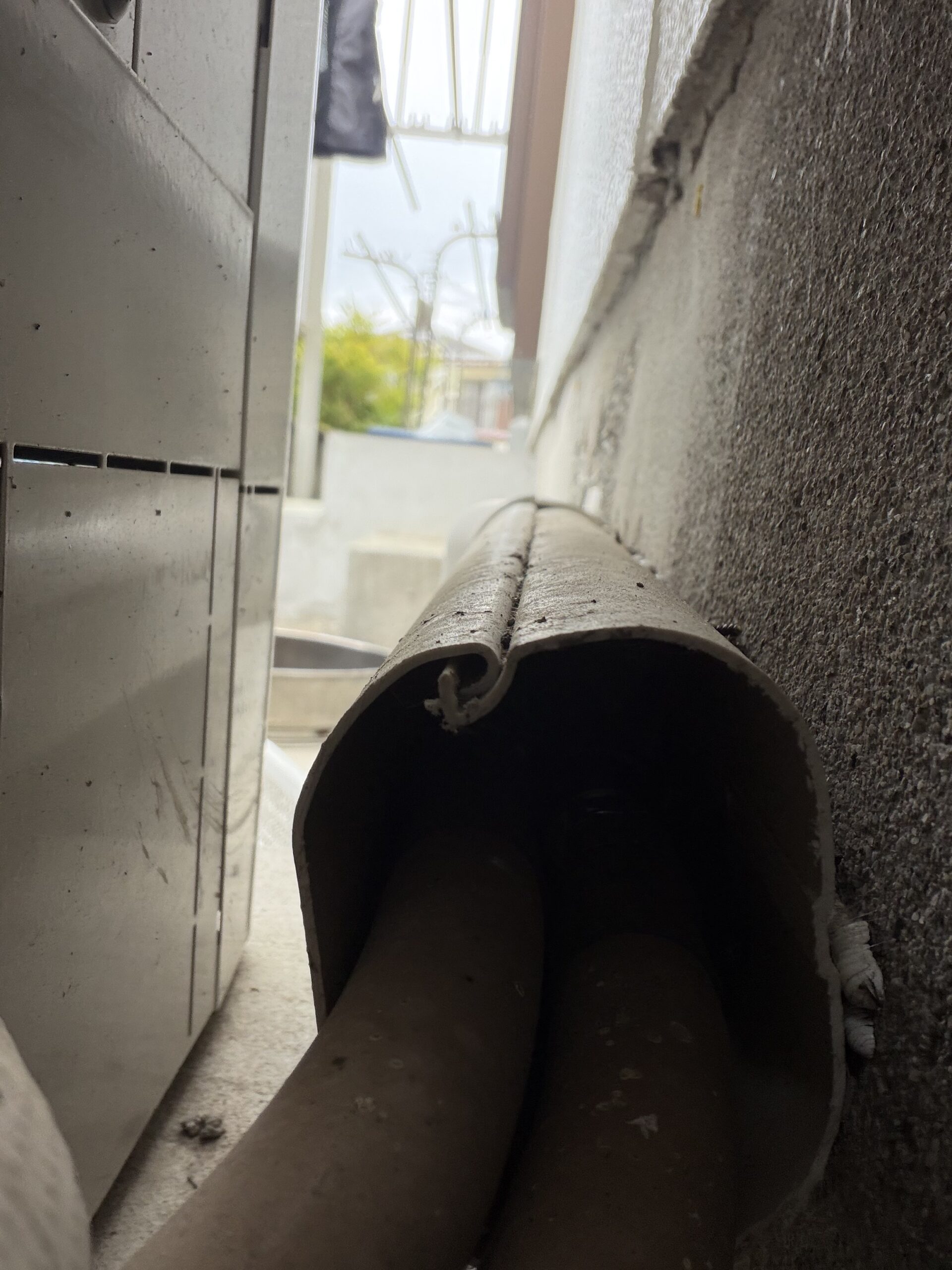 徳島県徳島市害獣駆除現場の写真11