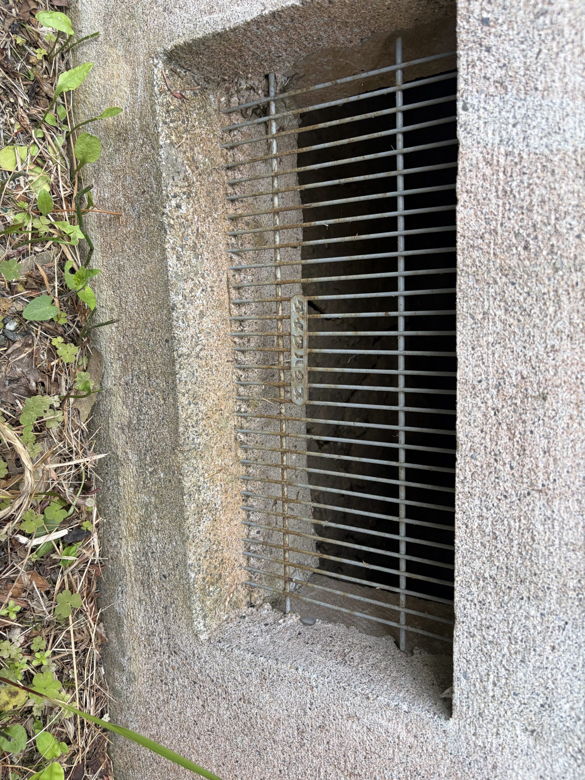 滋賀県大津市害獣駆除現場の写真21