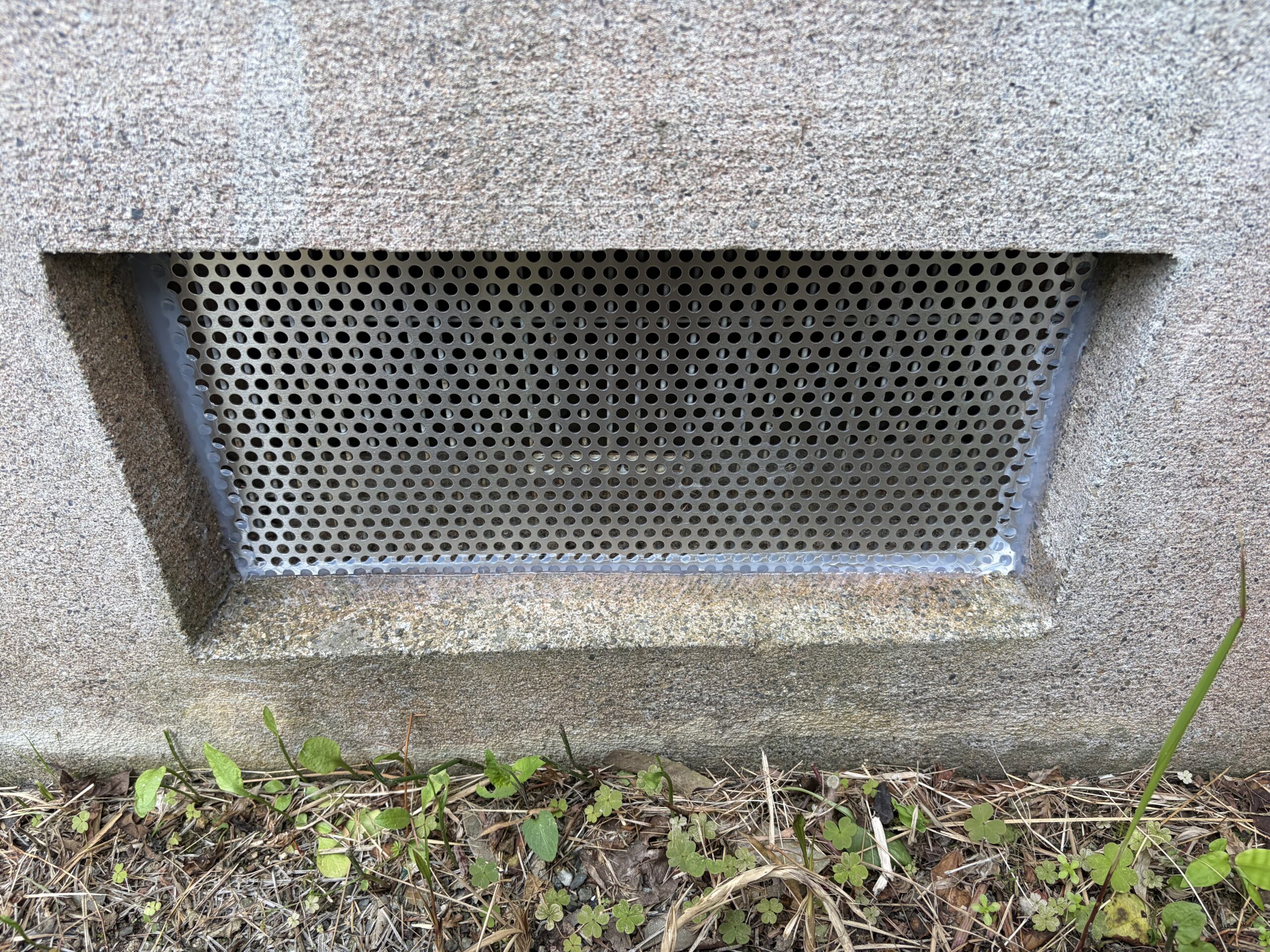 滋賀県大津市害獣駆除現場の写真20