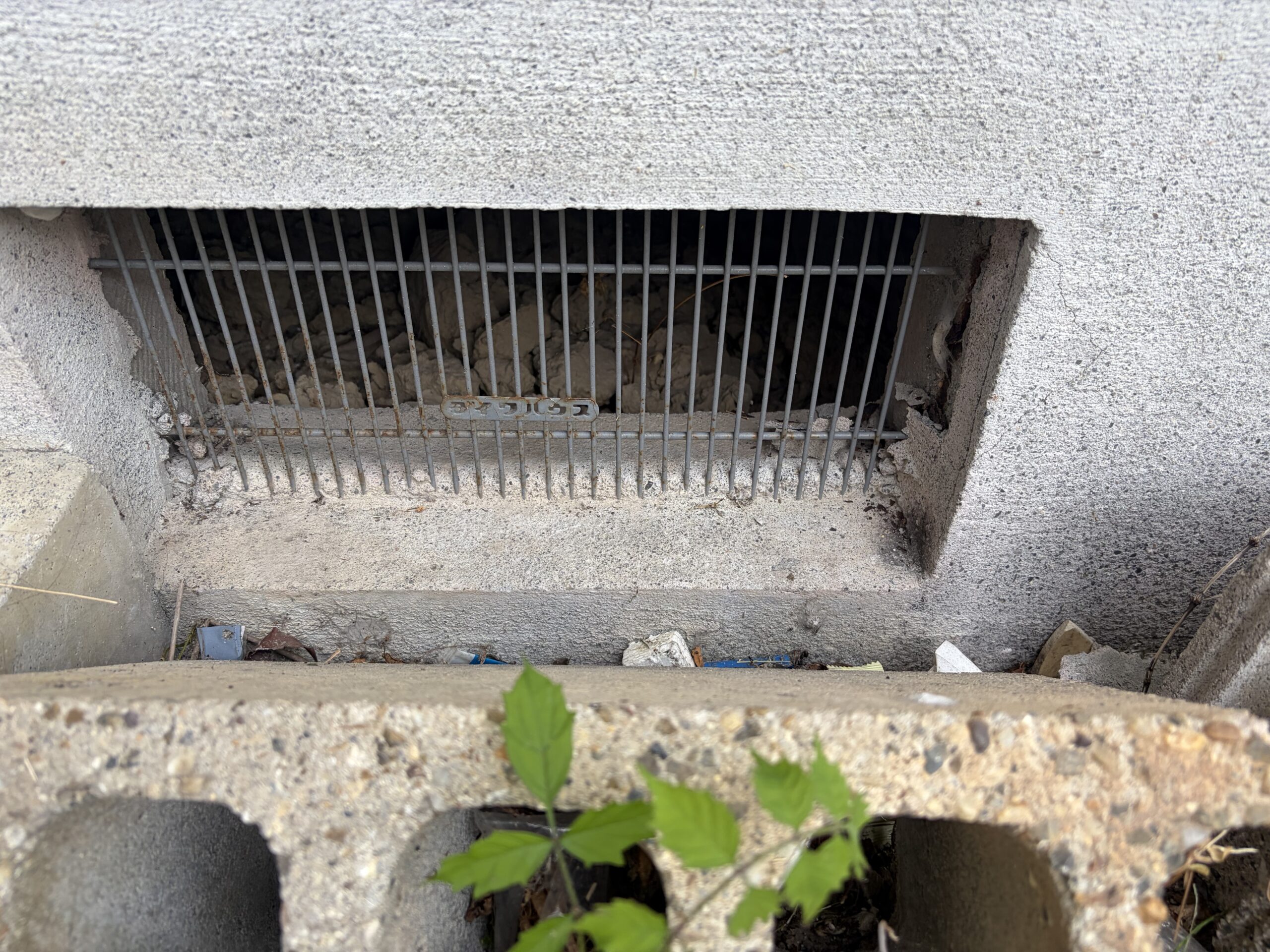滋賀県大津市害獣駆除現場の写真19