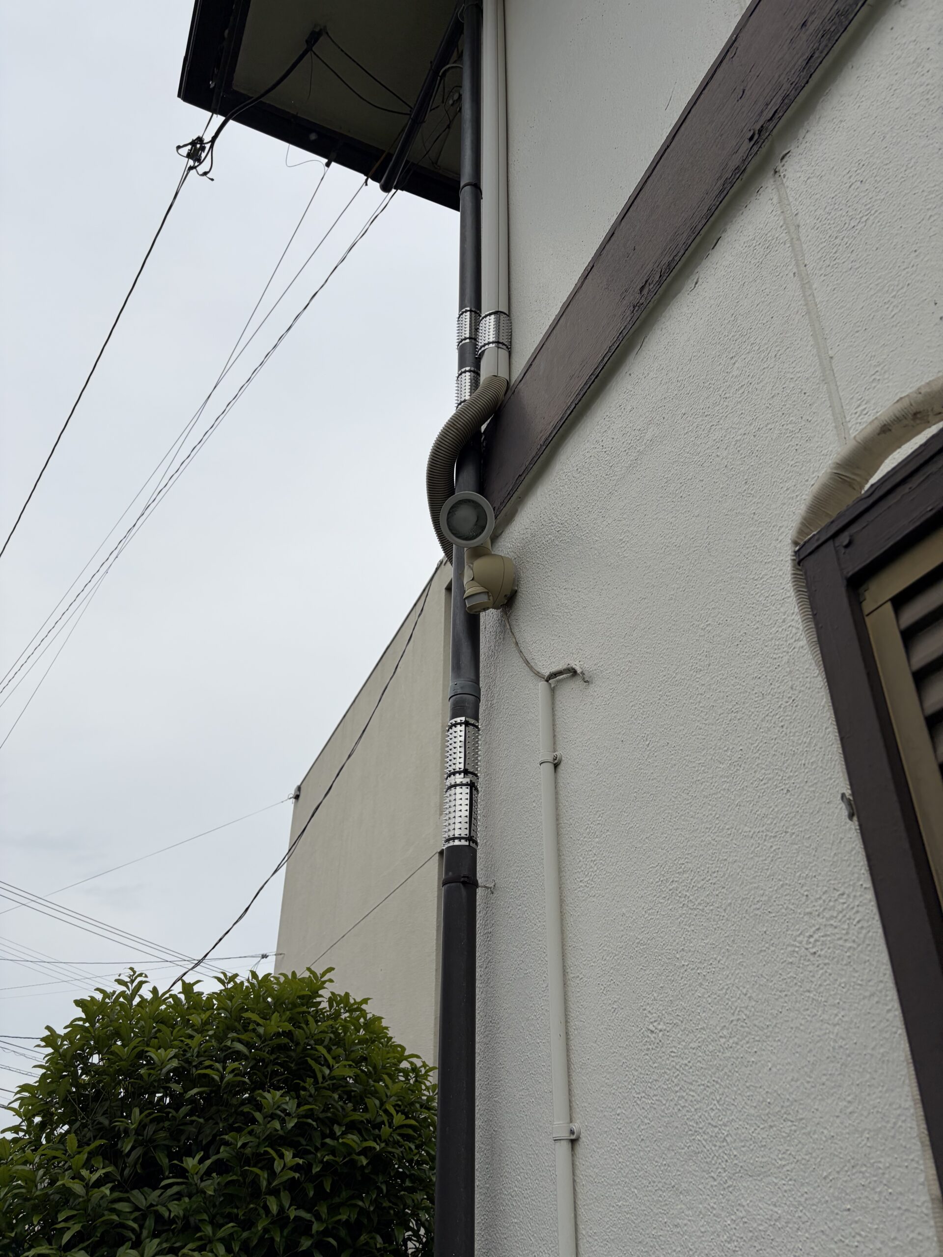 徳島県徳島市害獣駆除現場の写真8