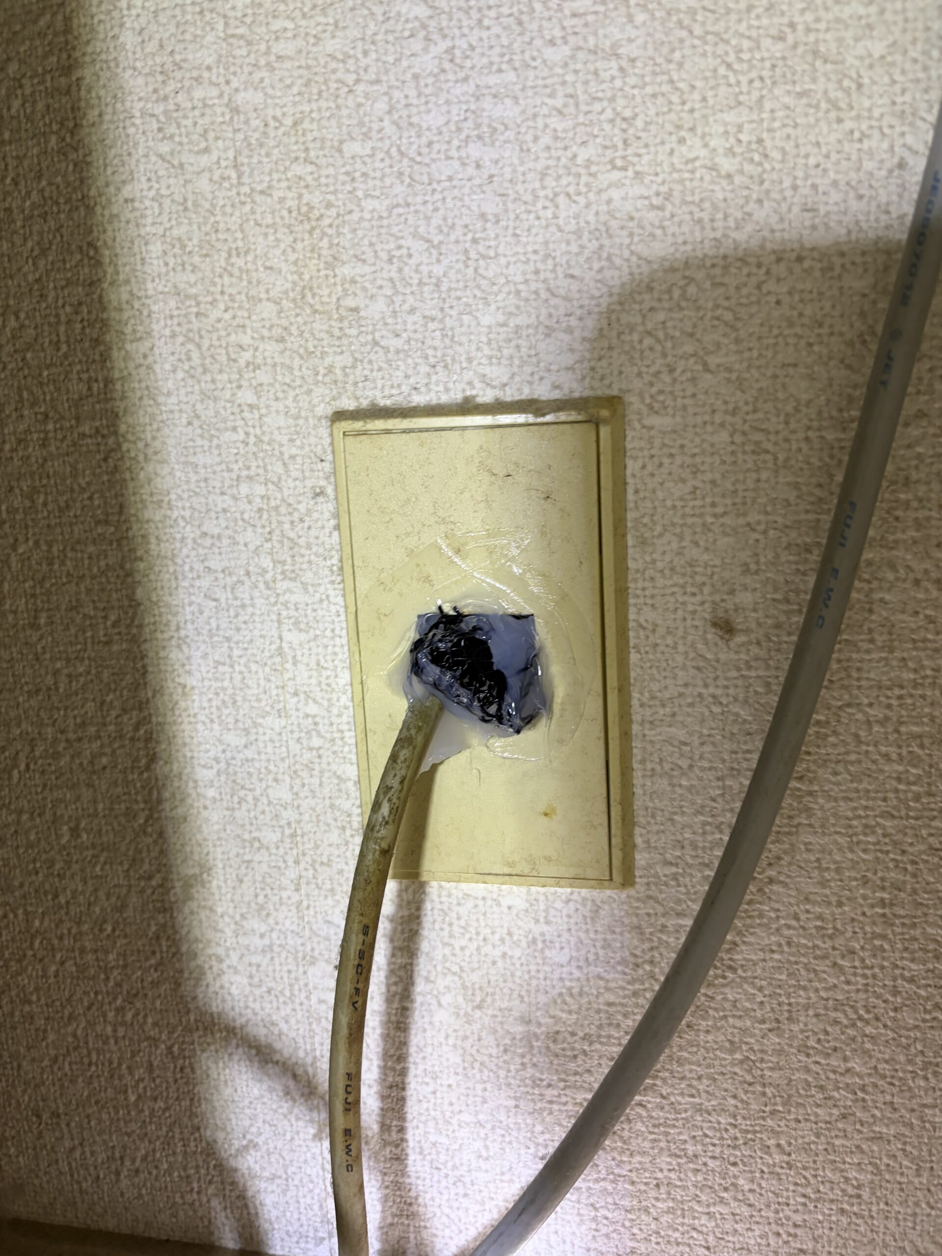 滋賀県大津市害獣駆除現場の写真47