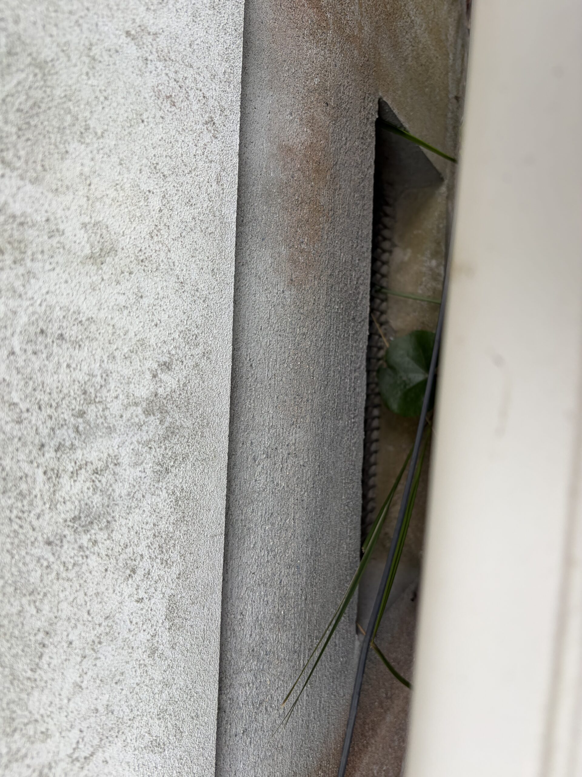 滋賀県大津市害獣駆除現場の写真25